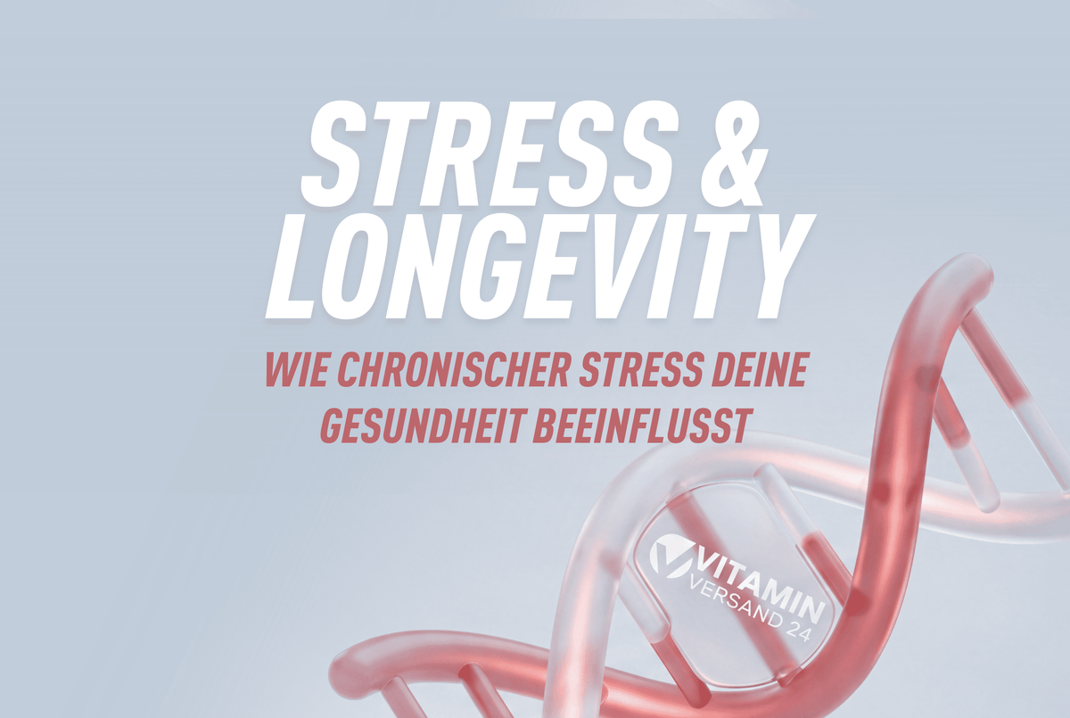 Stress & Longevity: Wie chronischer Stress deine Gesundheit beeinflusst