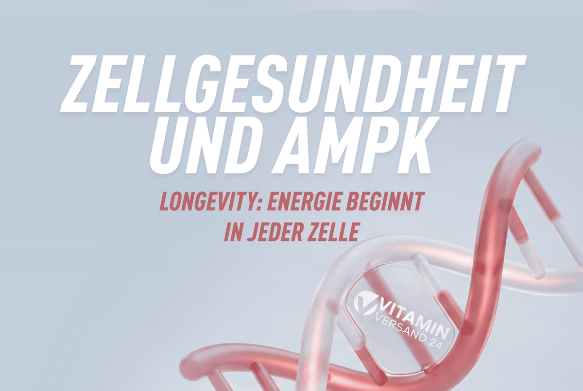 Zellgesundheit & Longevity: Energie beginnt in jeder Zelle