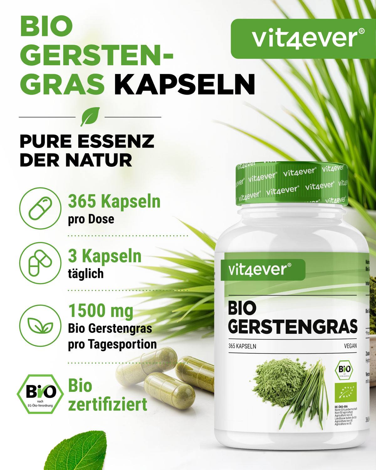 Hierba de cebada ecológica - 365 cápsulas veganas