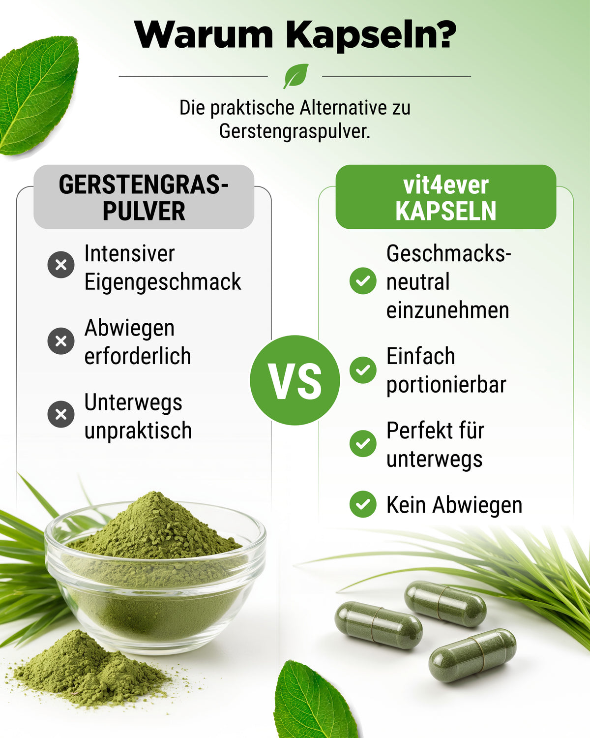 Hierba de cebada ecológica - 365 cápsulas veganas