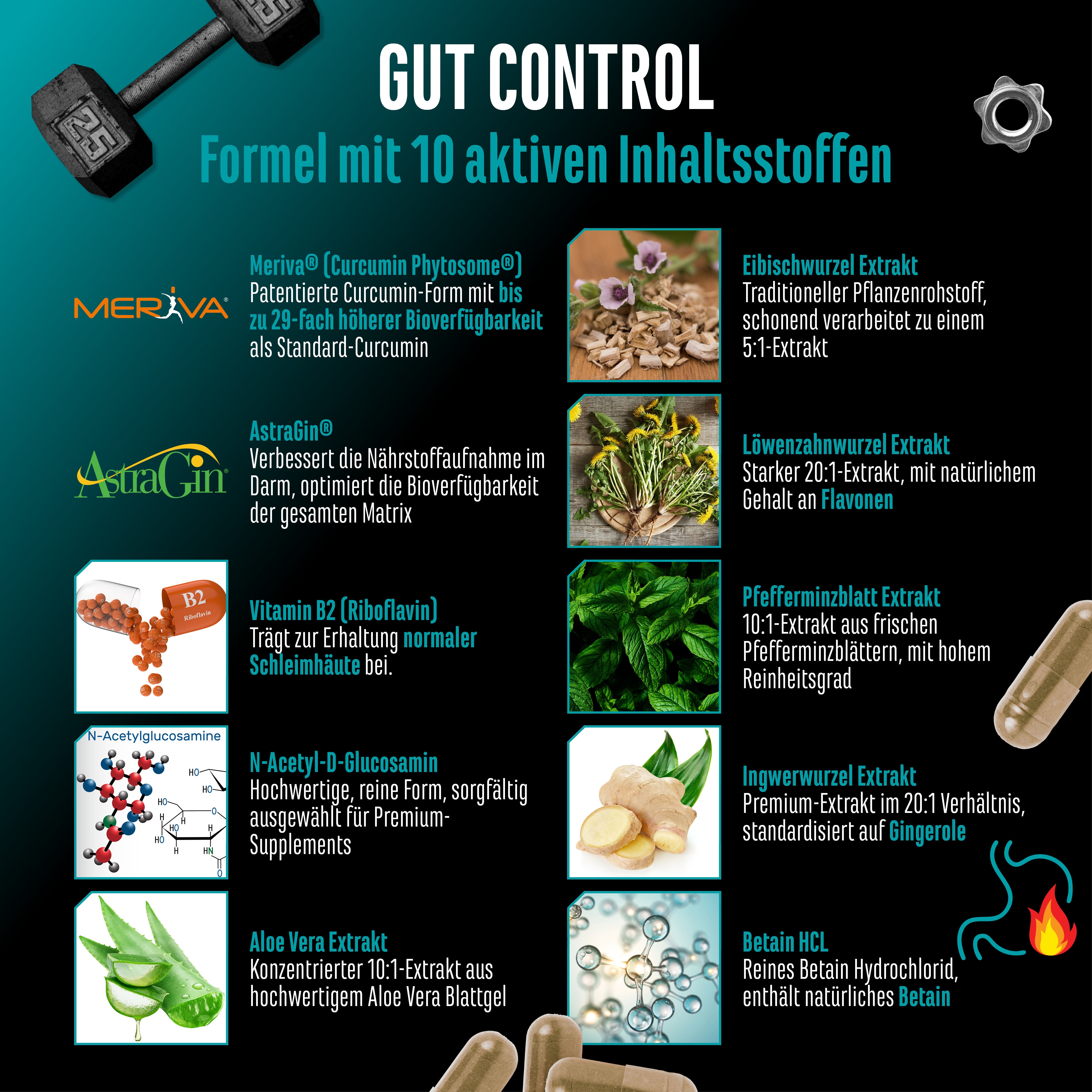 Gut Control,