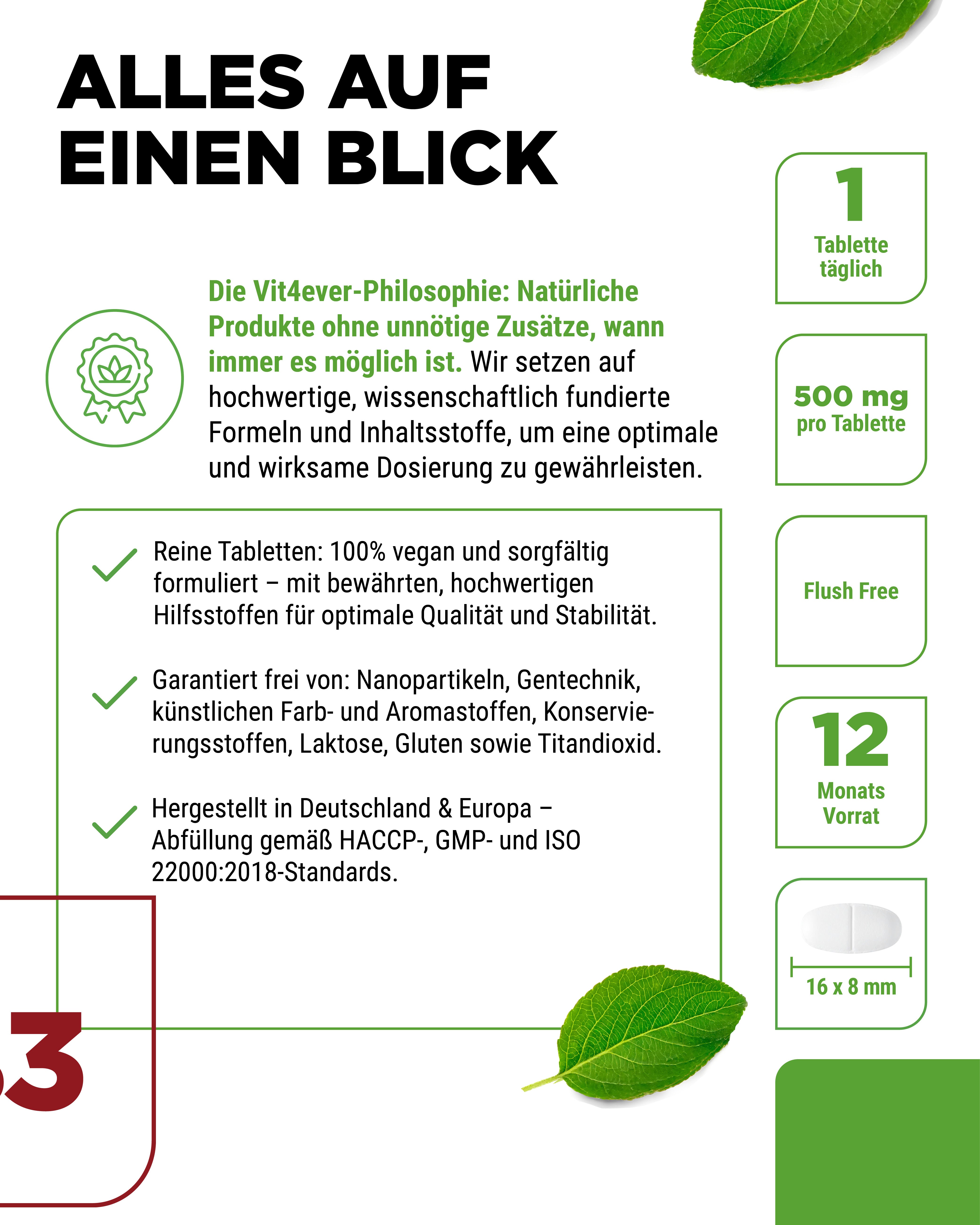 Vitamin B3 Nicotinamid 500 mg