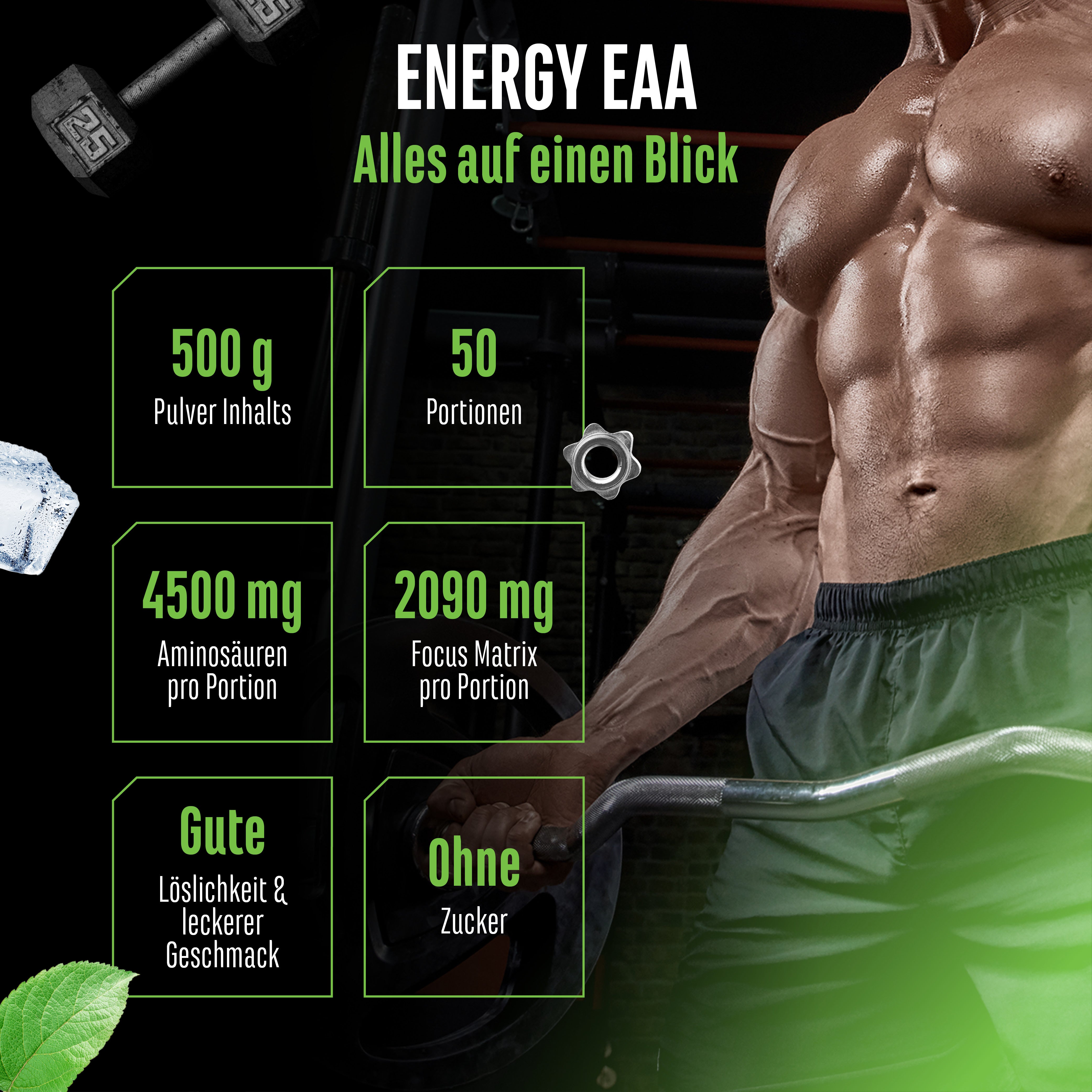 EAA Energy Mix
