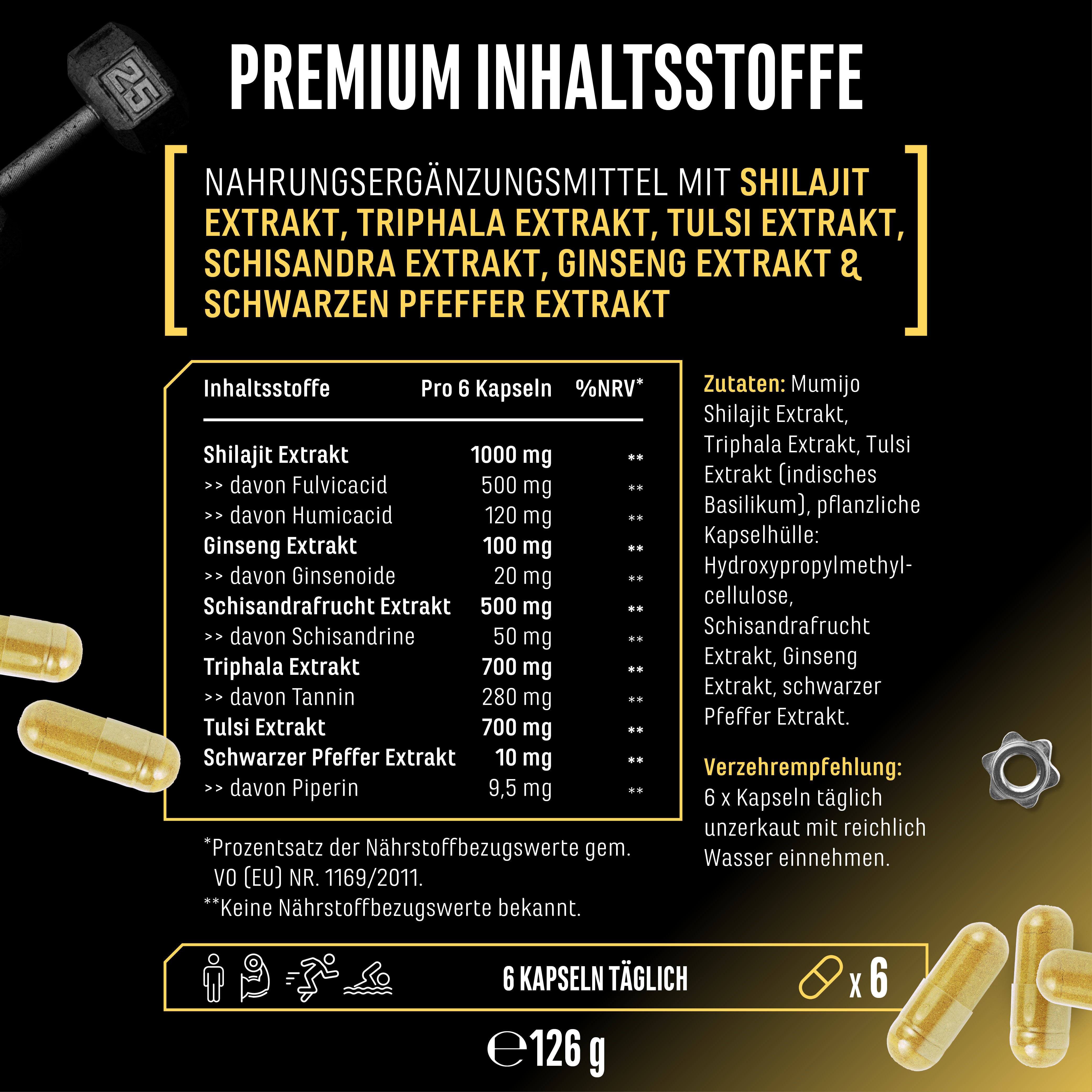 Shilajit Komplex