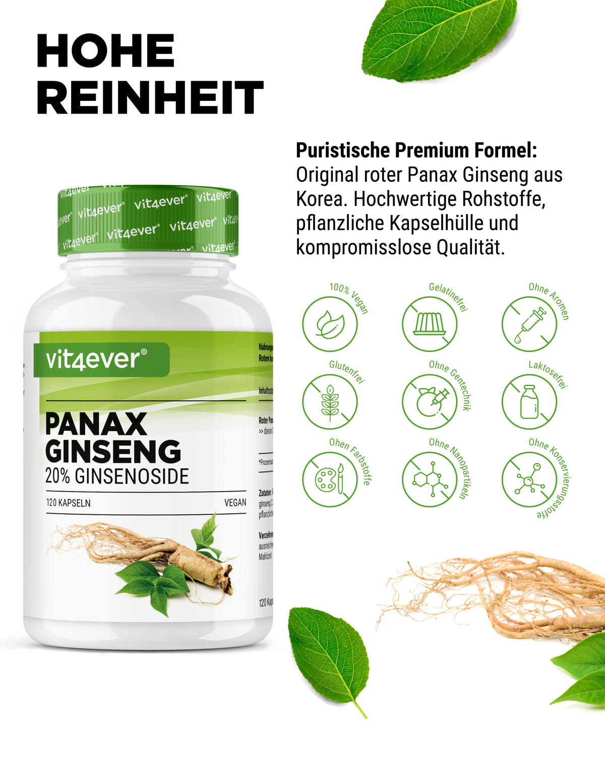 vit4ever Roter Panax Ginseng aus Korea – 20 % Ginsenoside, 120 Kapseln