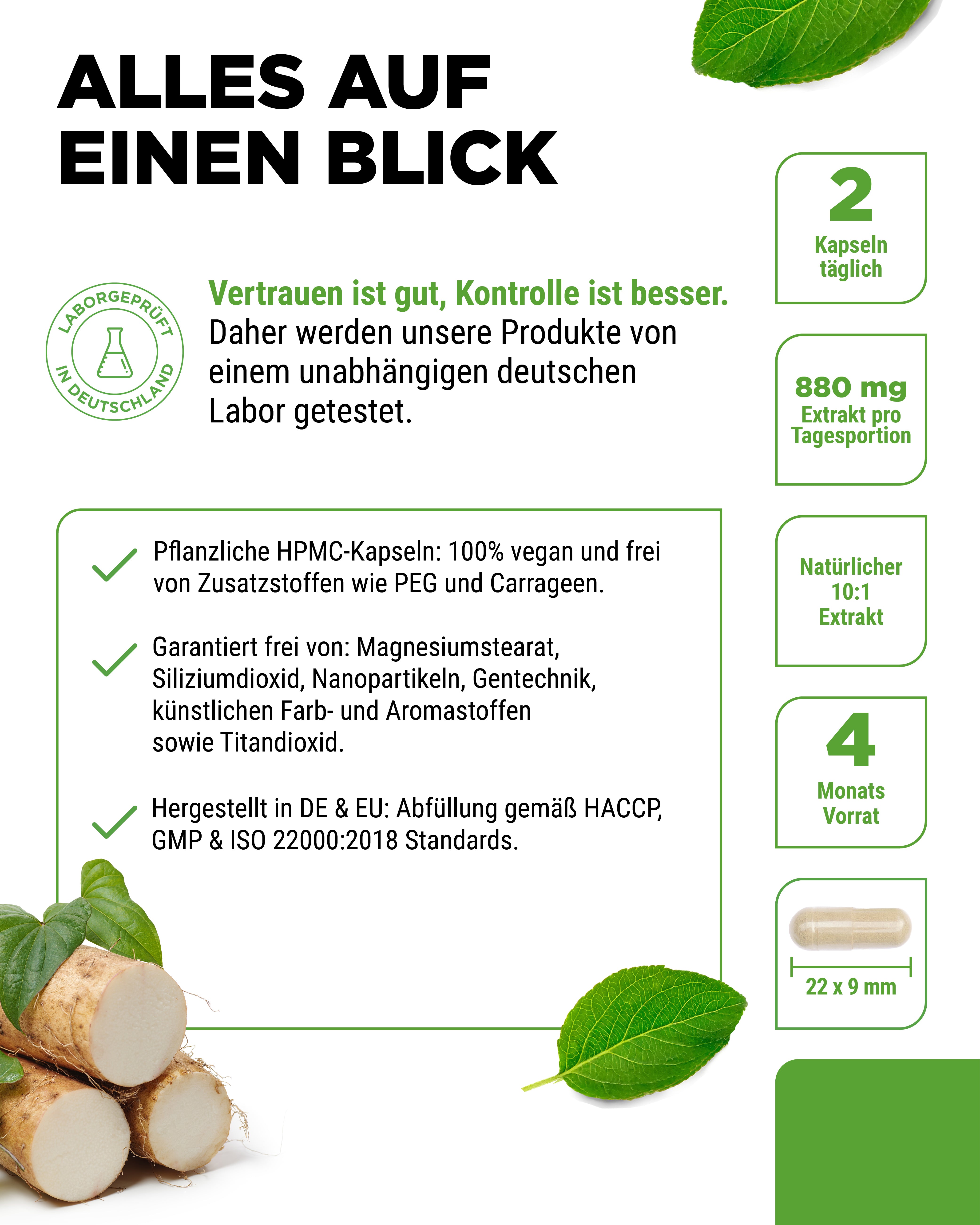 Mexican Wild Yam Extrakt