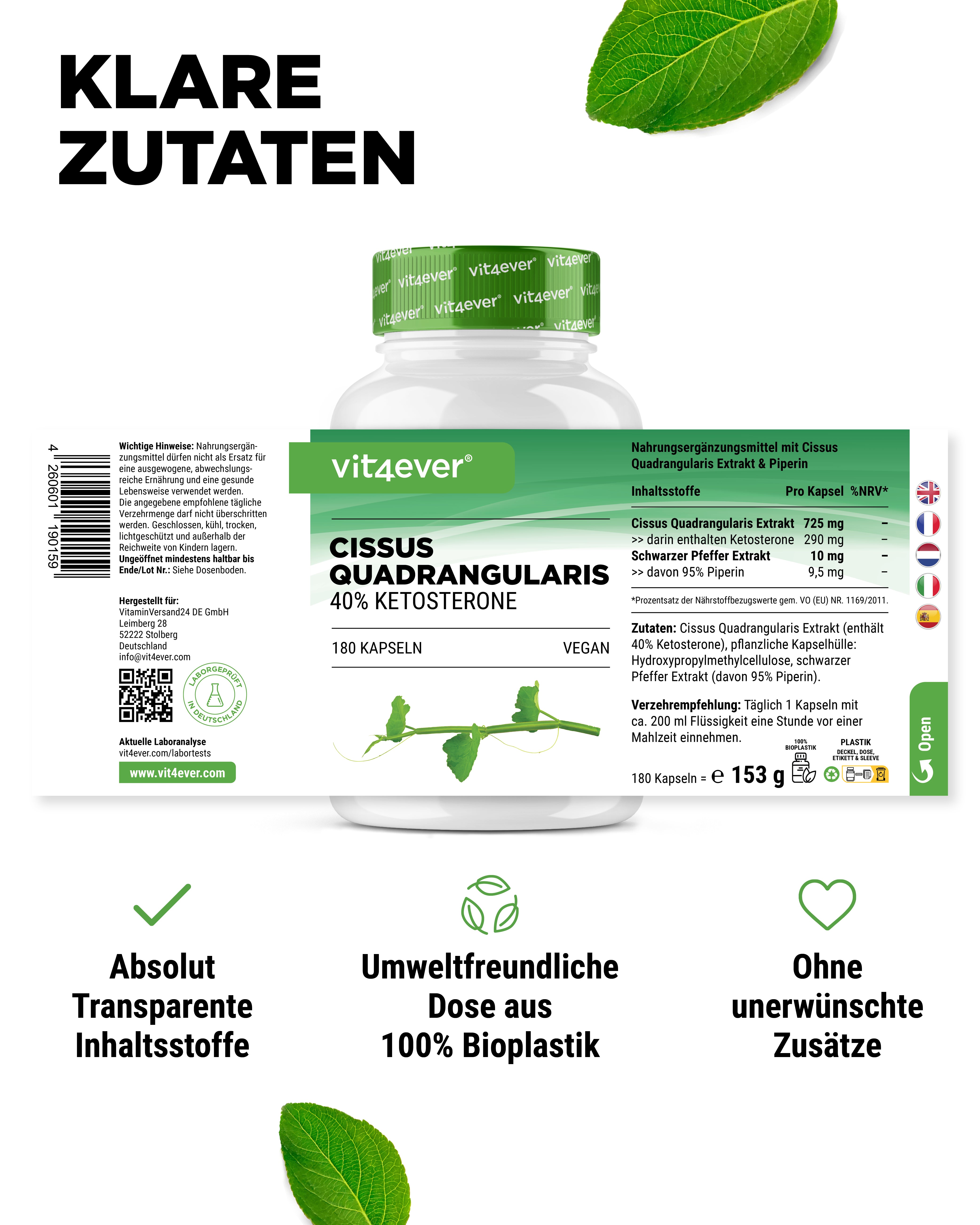 Cissus Quadrangularis - 725 mg Extrakt - 40% Ketosterone