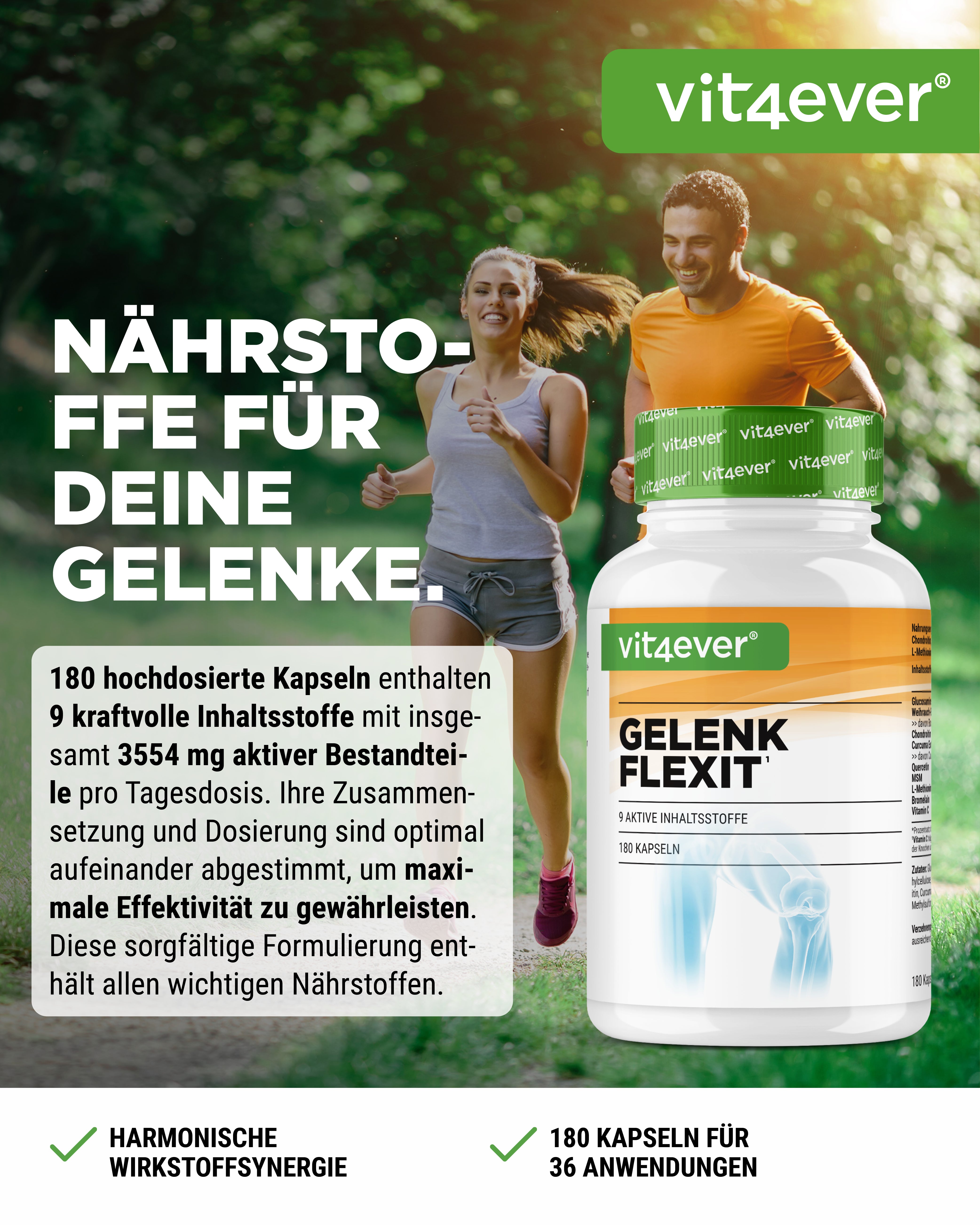 Gelenk Flexit - 9 Wirkstoffe