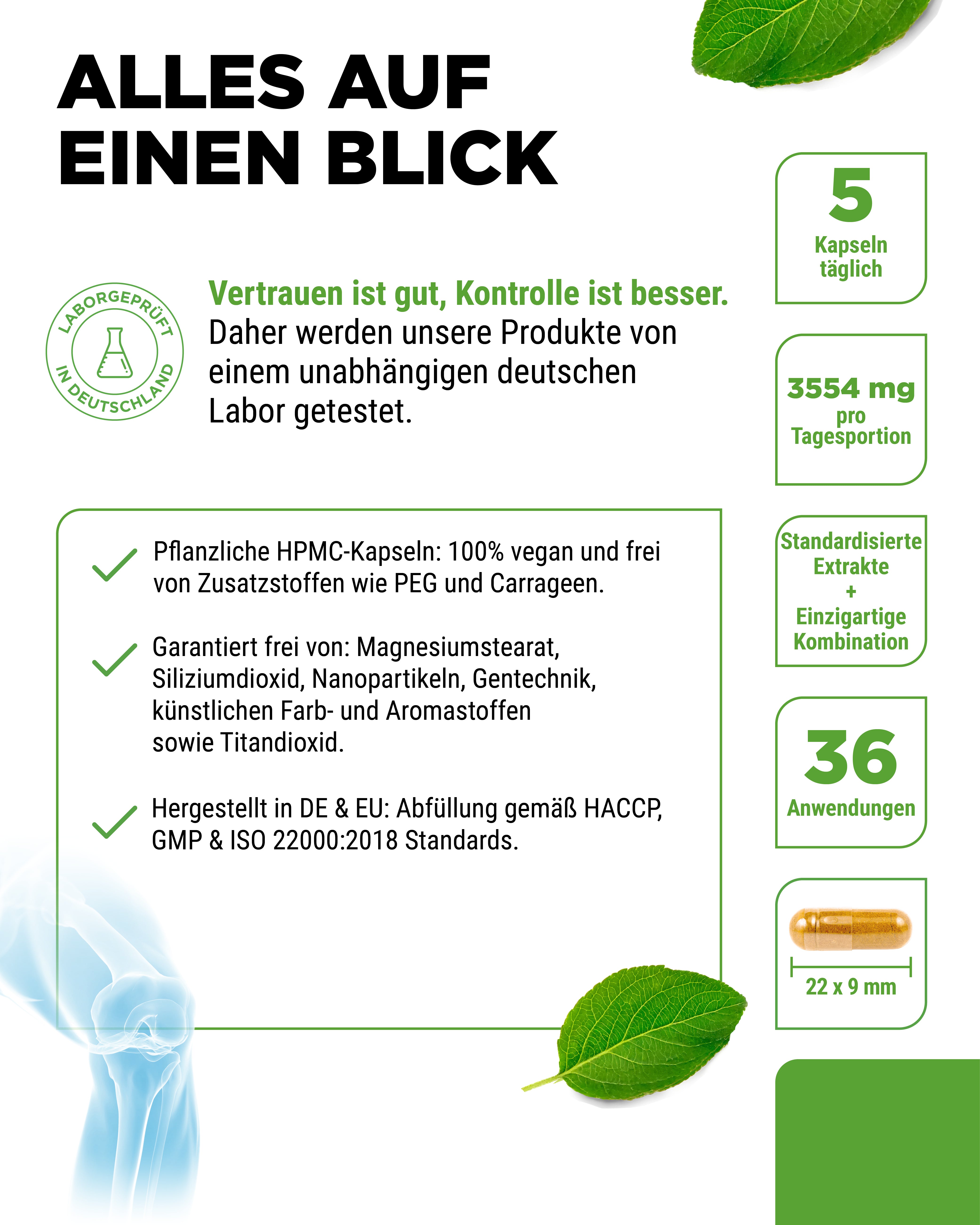 Gelenk Flexit - 9 Wirkstoffe