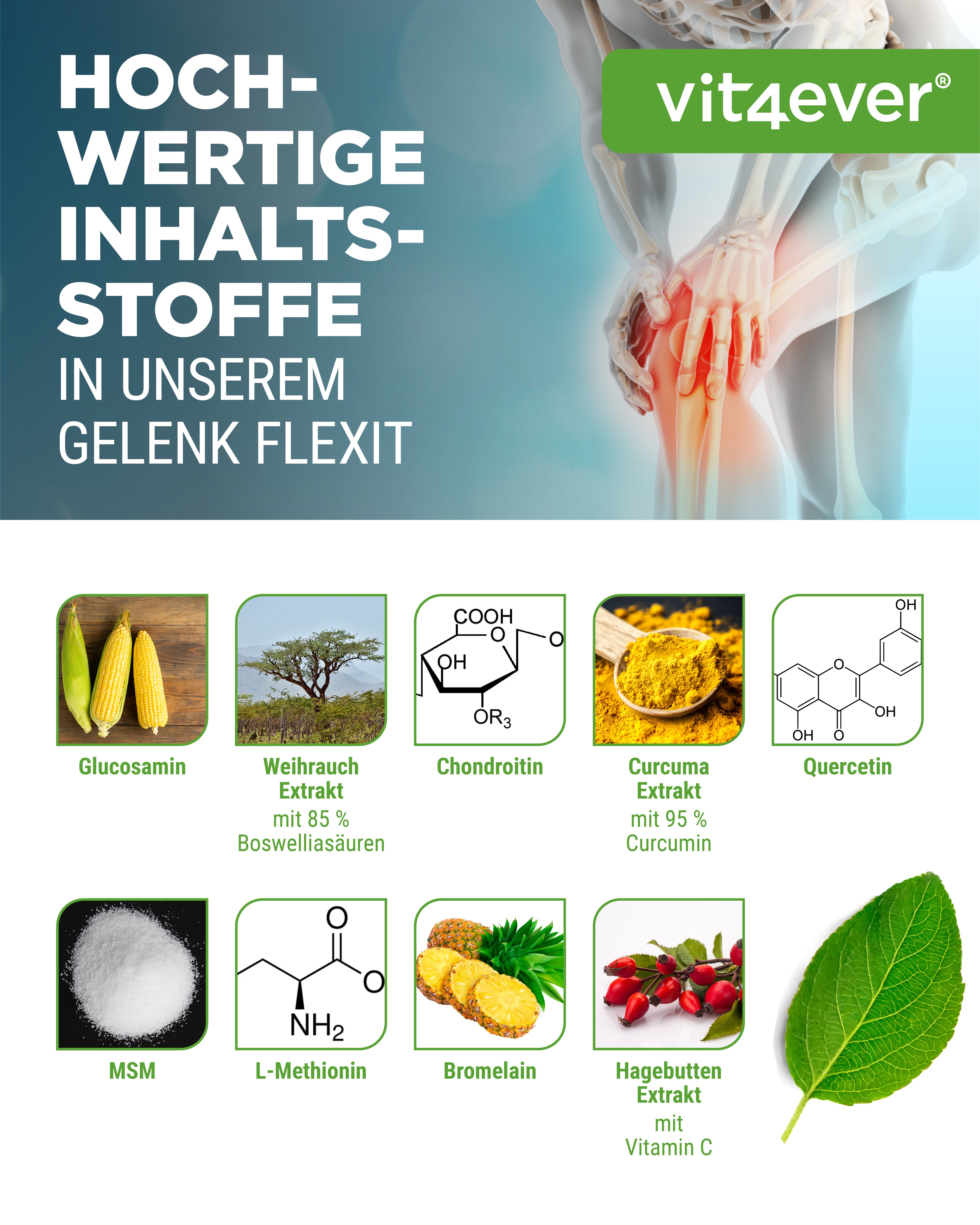 Gelenk Flexit - 9 Wirkstoffe