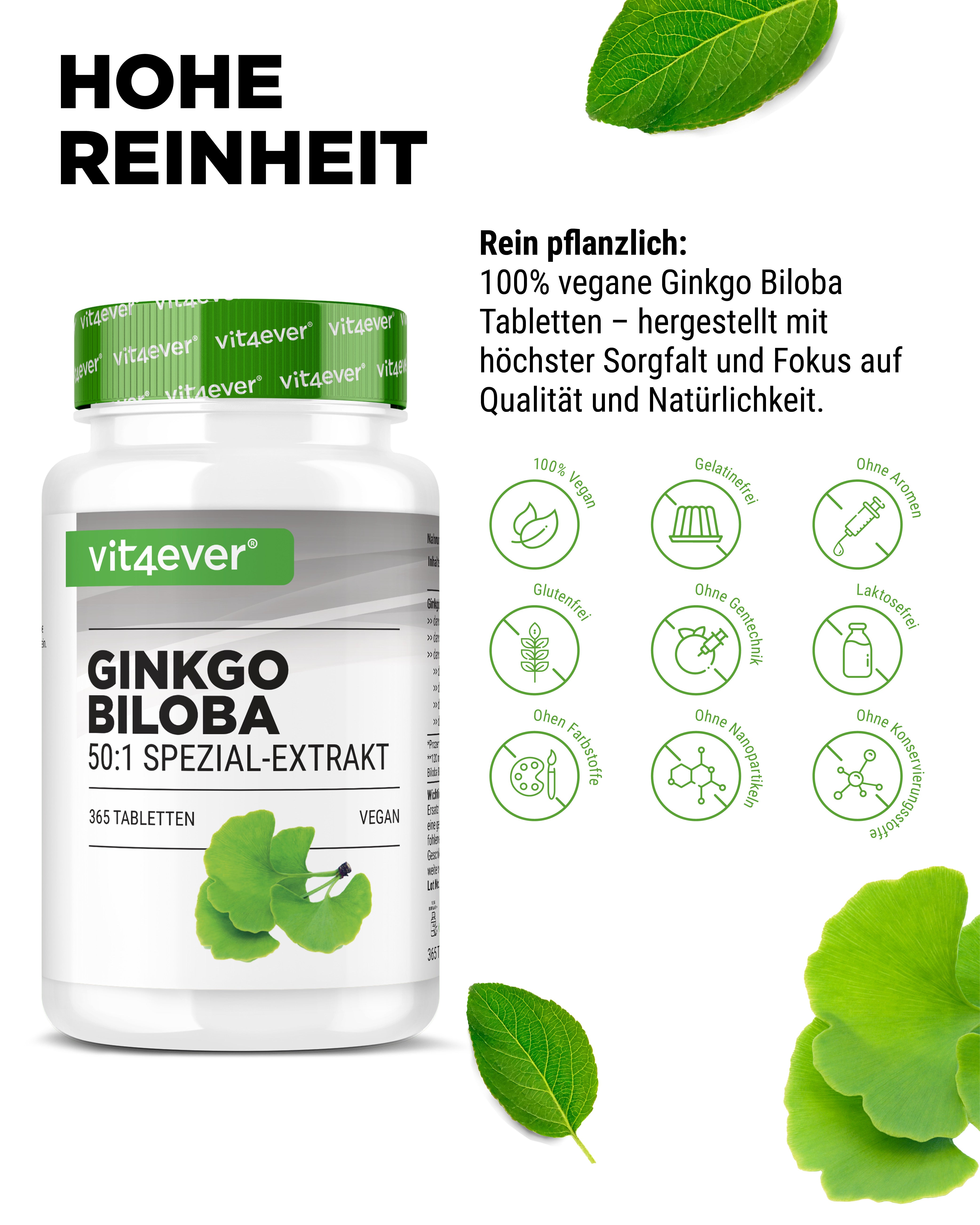 Ginkgo Biloba Extrakt
