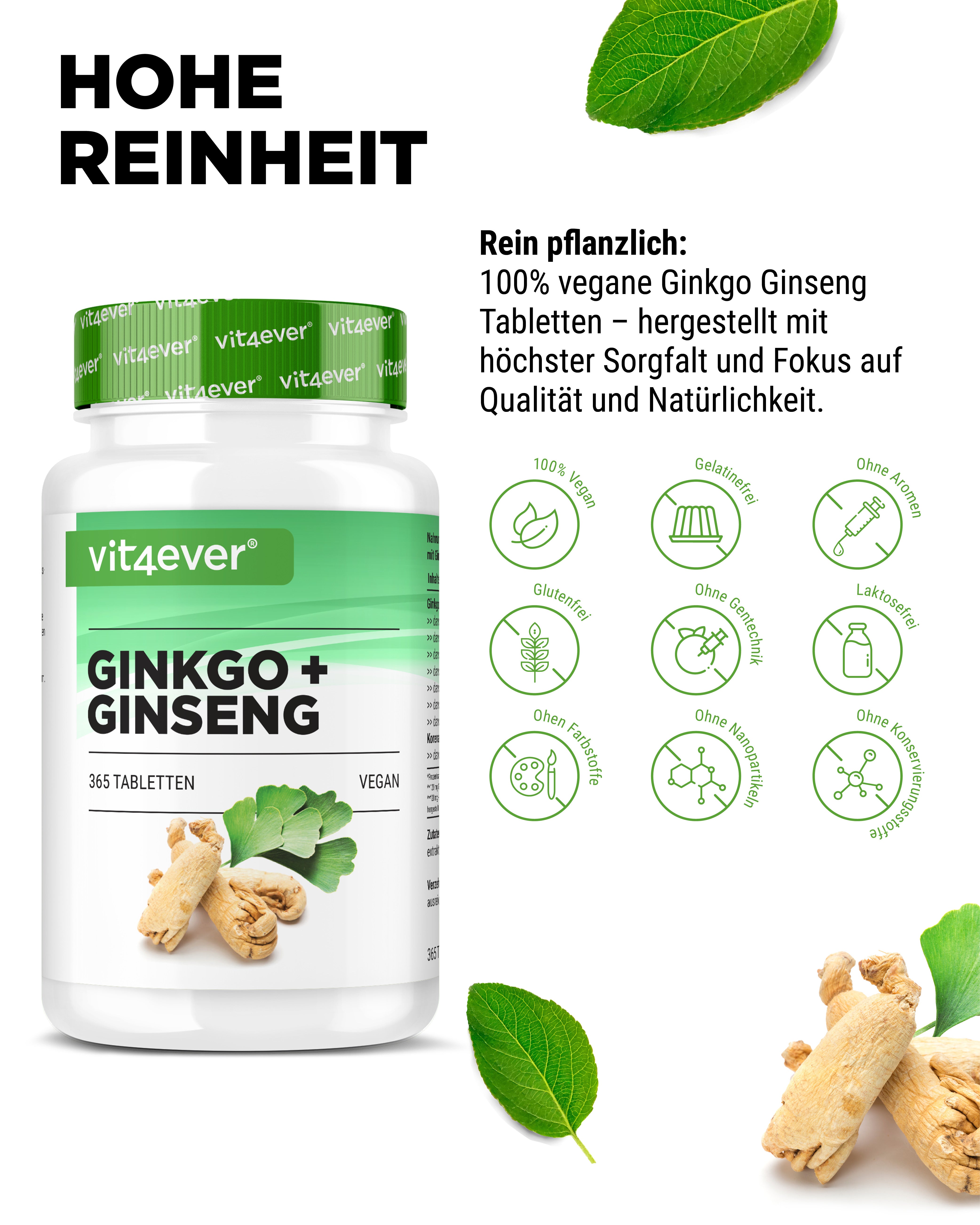 Ginkgo & Ginseng Extrakt