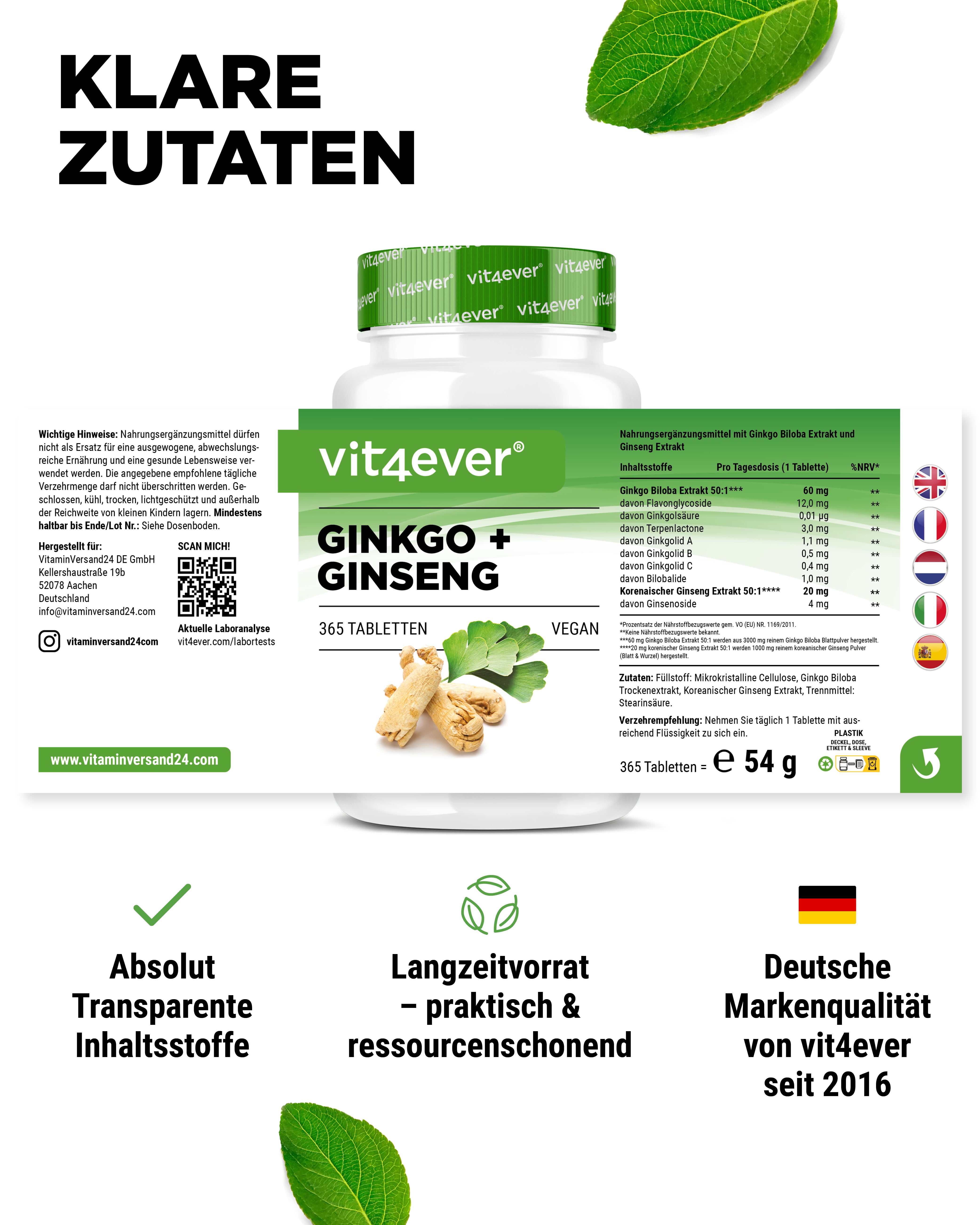Ginkgo & Ginseng Extrakt
