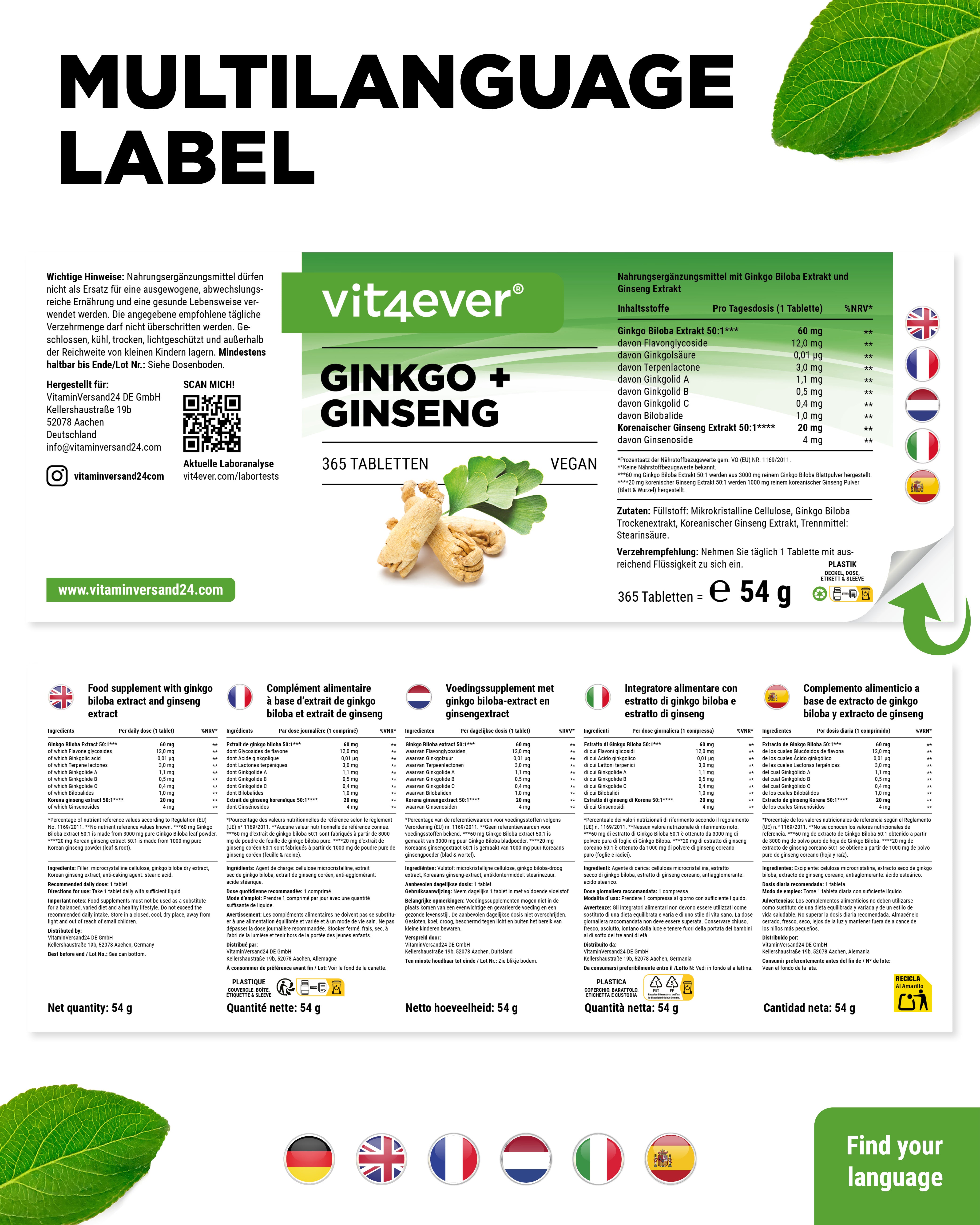 Ginkgo & Ginseng Extrakt
