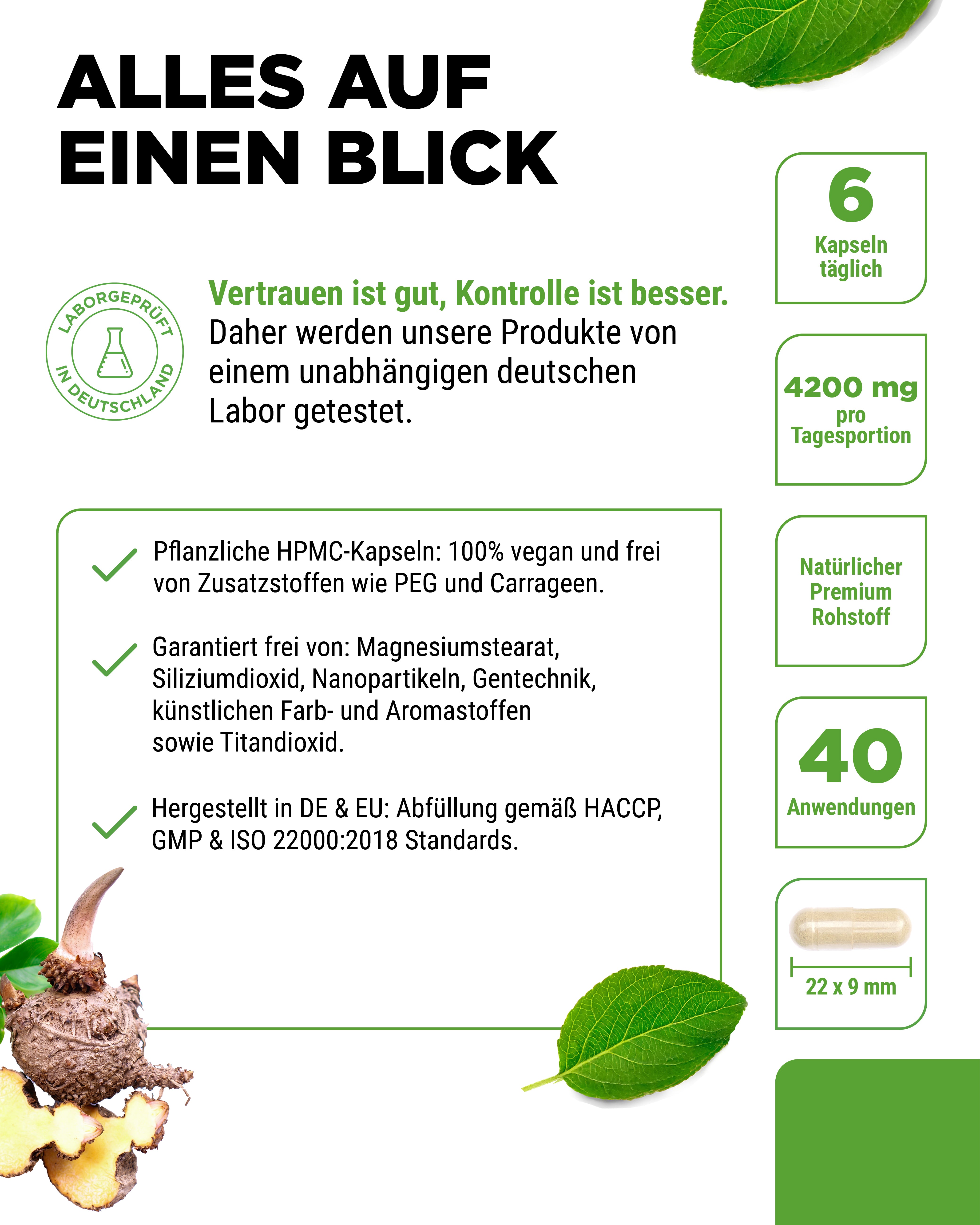 Glucomannan Konjakwurzelextrakt