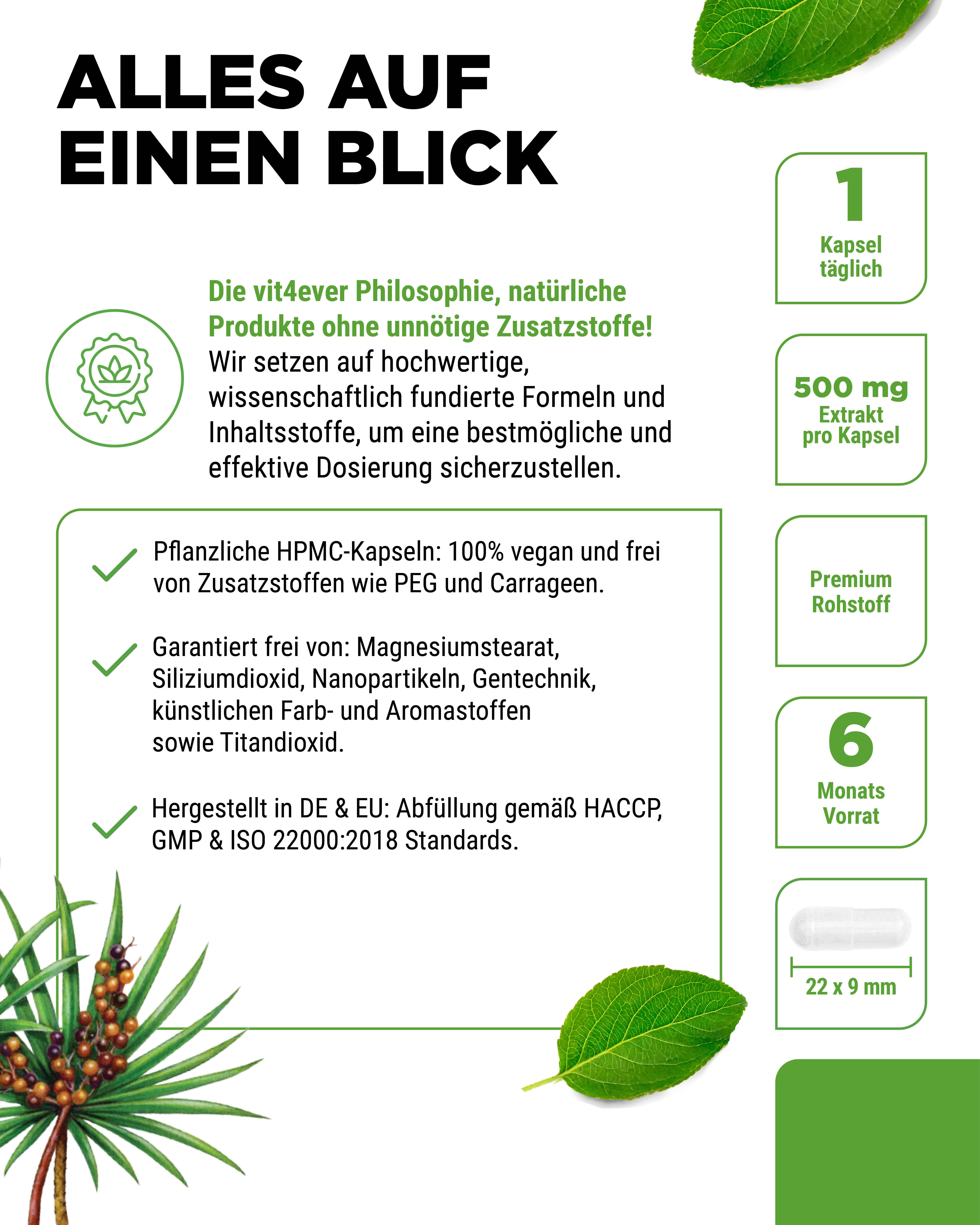 Estratto di Saw Palmetto - 500 mg