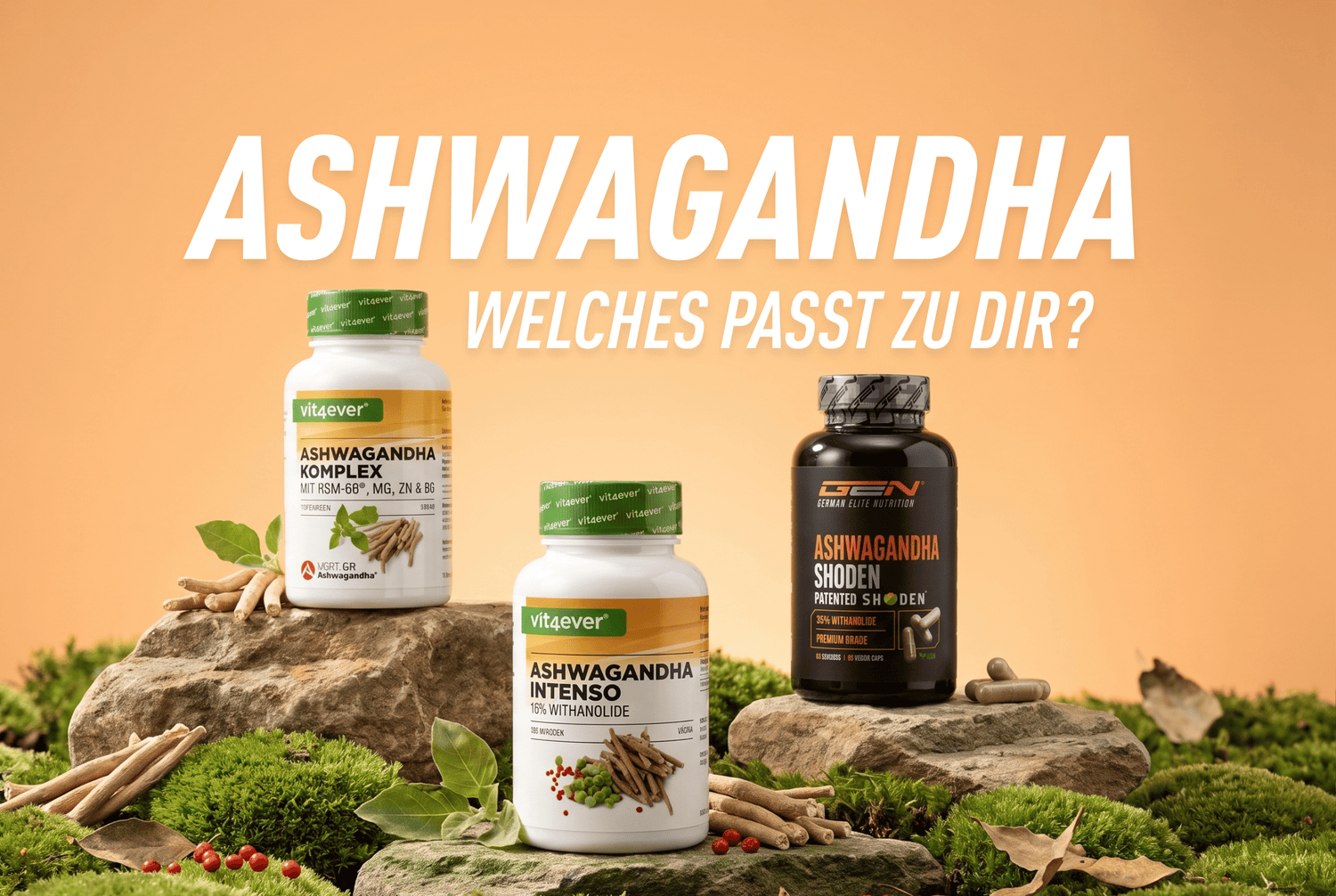 Welches Ashwagandha passt wirklich zu dir? Finde dein perfektes Match!