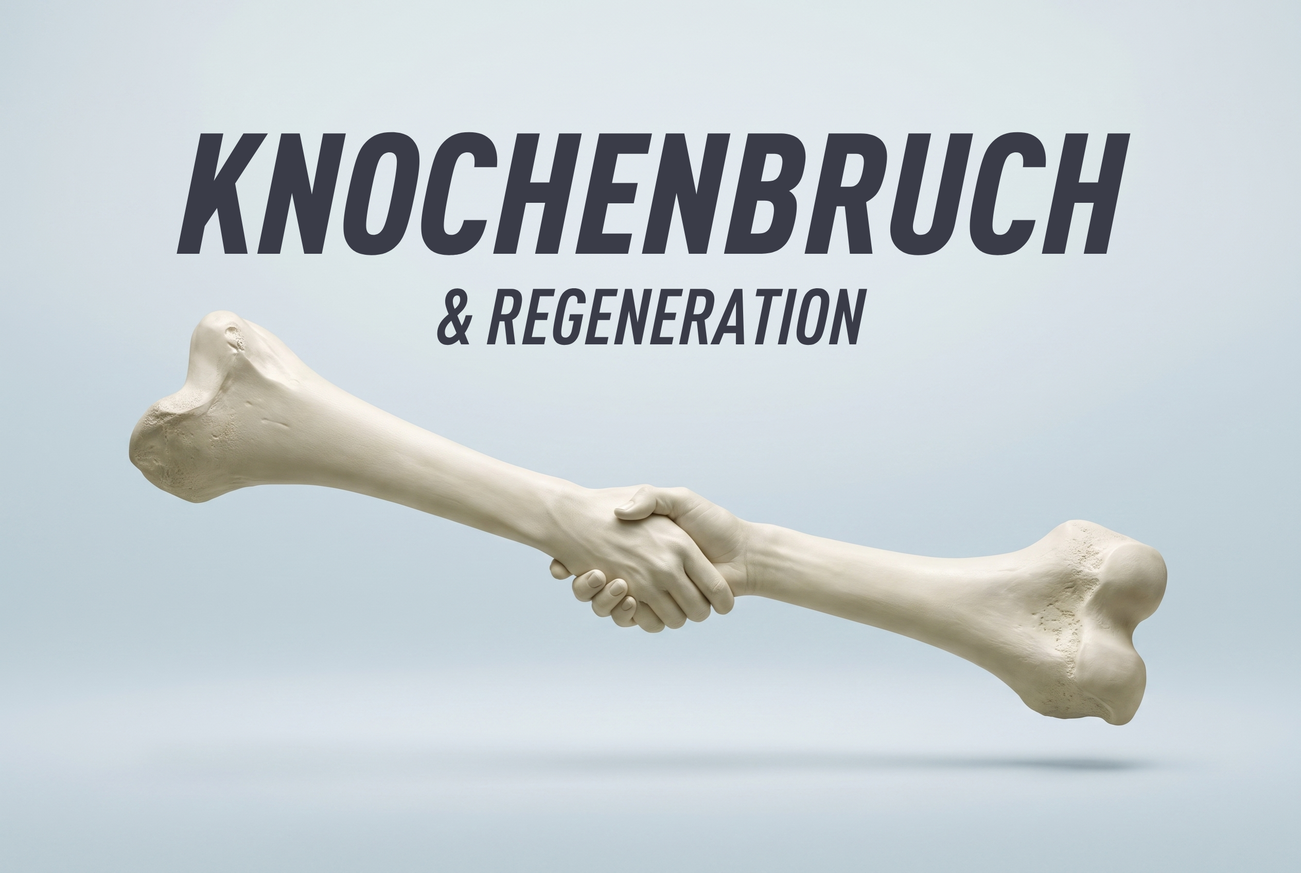 Knochenbruch & Regeneration: Was dein Körper jetzt wirklich braucht