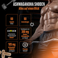 Ashwagandha Extrakt Shoden®