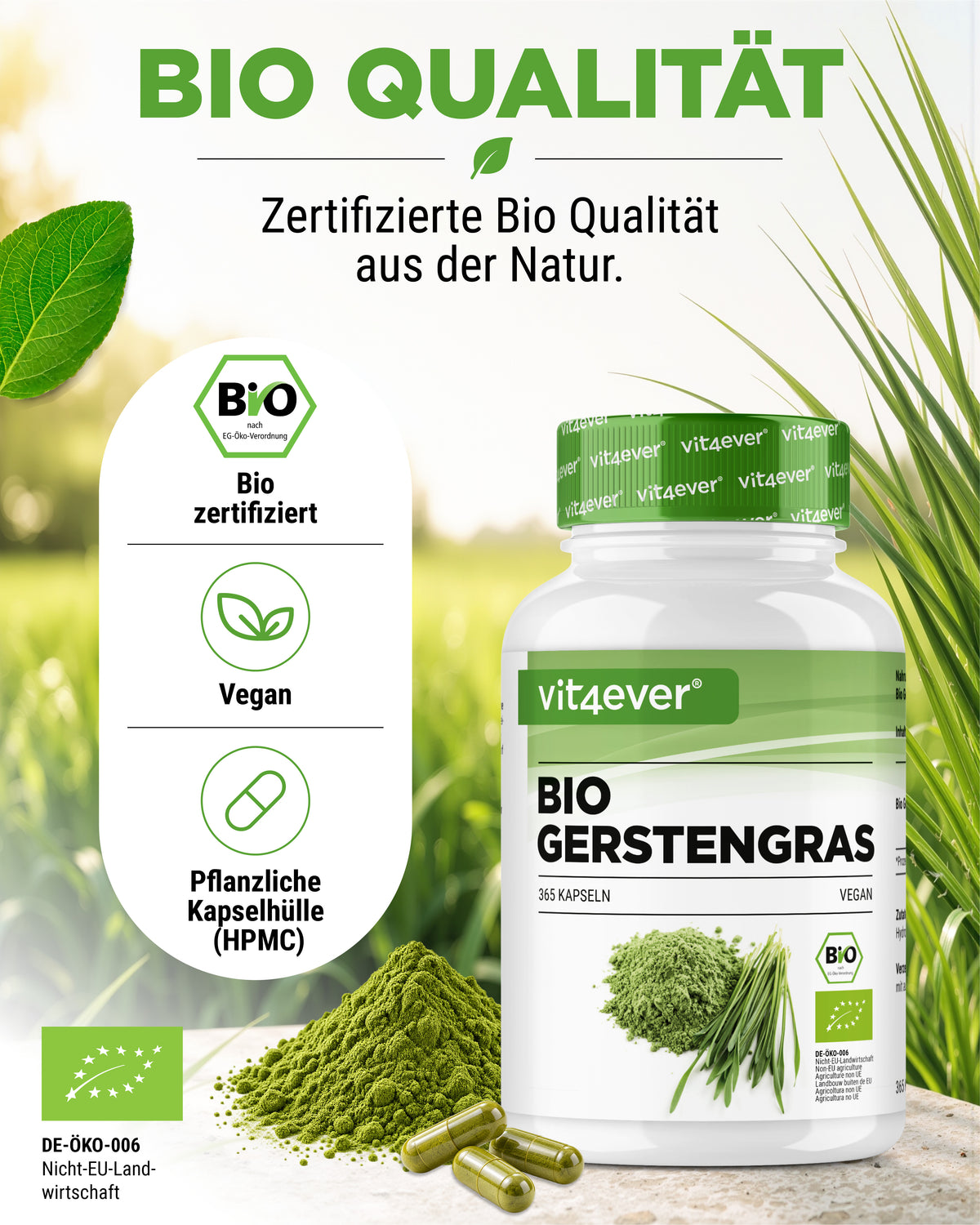 Hierba de cebada ecológica - 365 cápsulas veganas