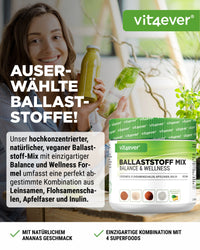 Ballaststoff Mix - 400 g Pulver