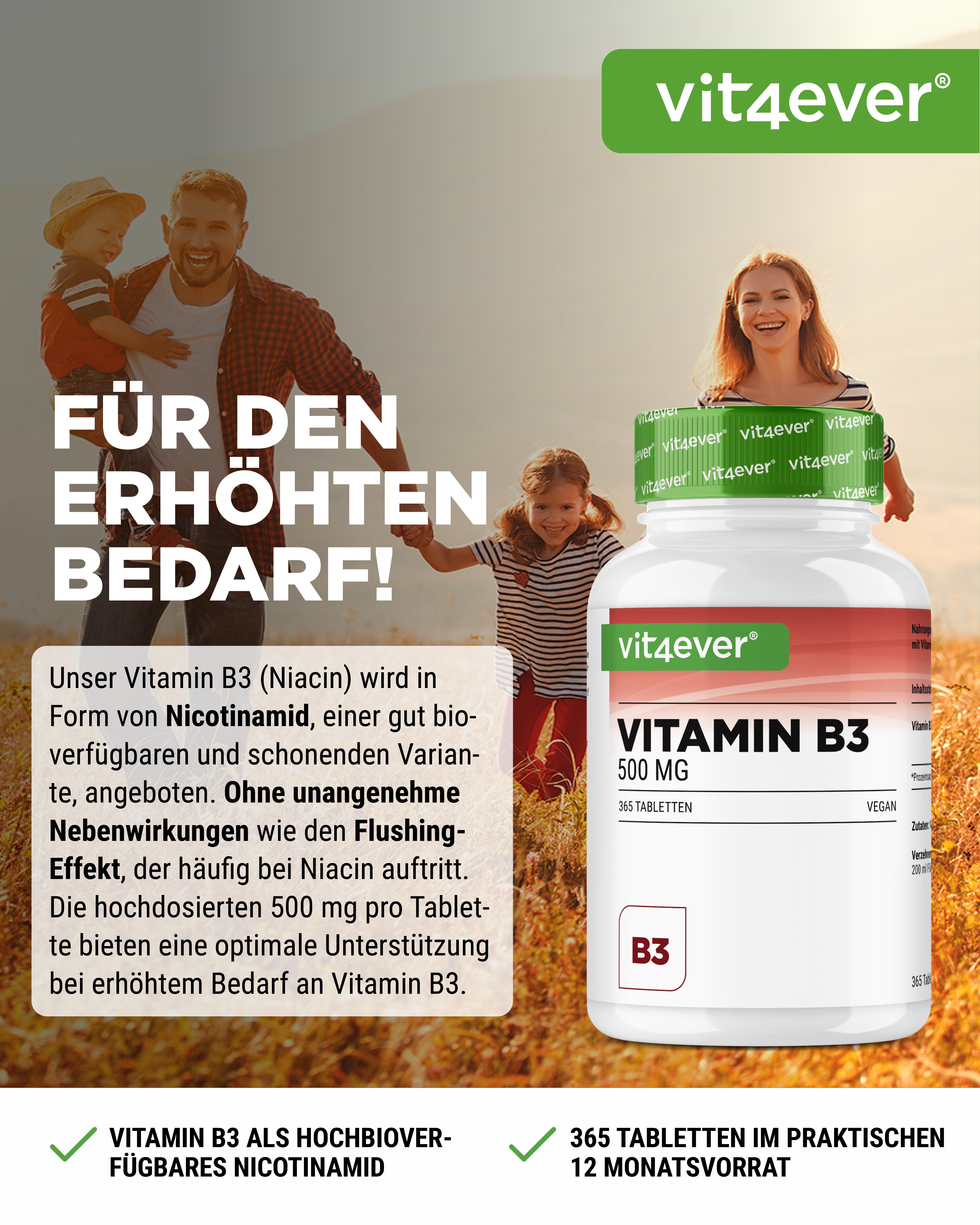 Vitamin B3 Nicotinamid 500 mg