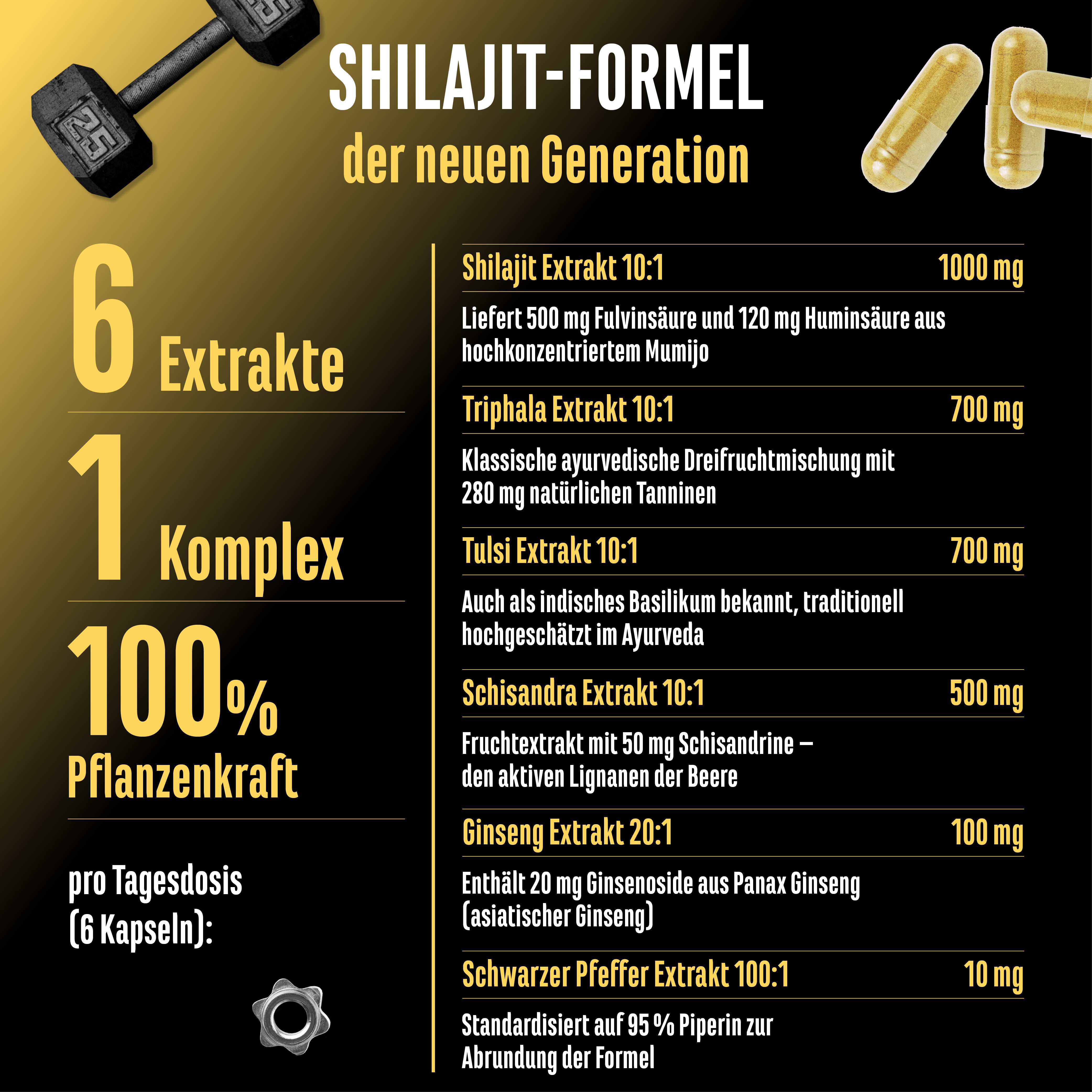 Shilajit Komplex