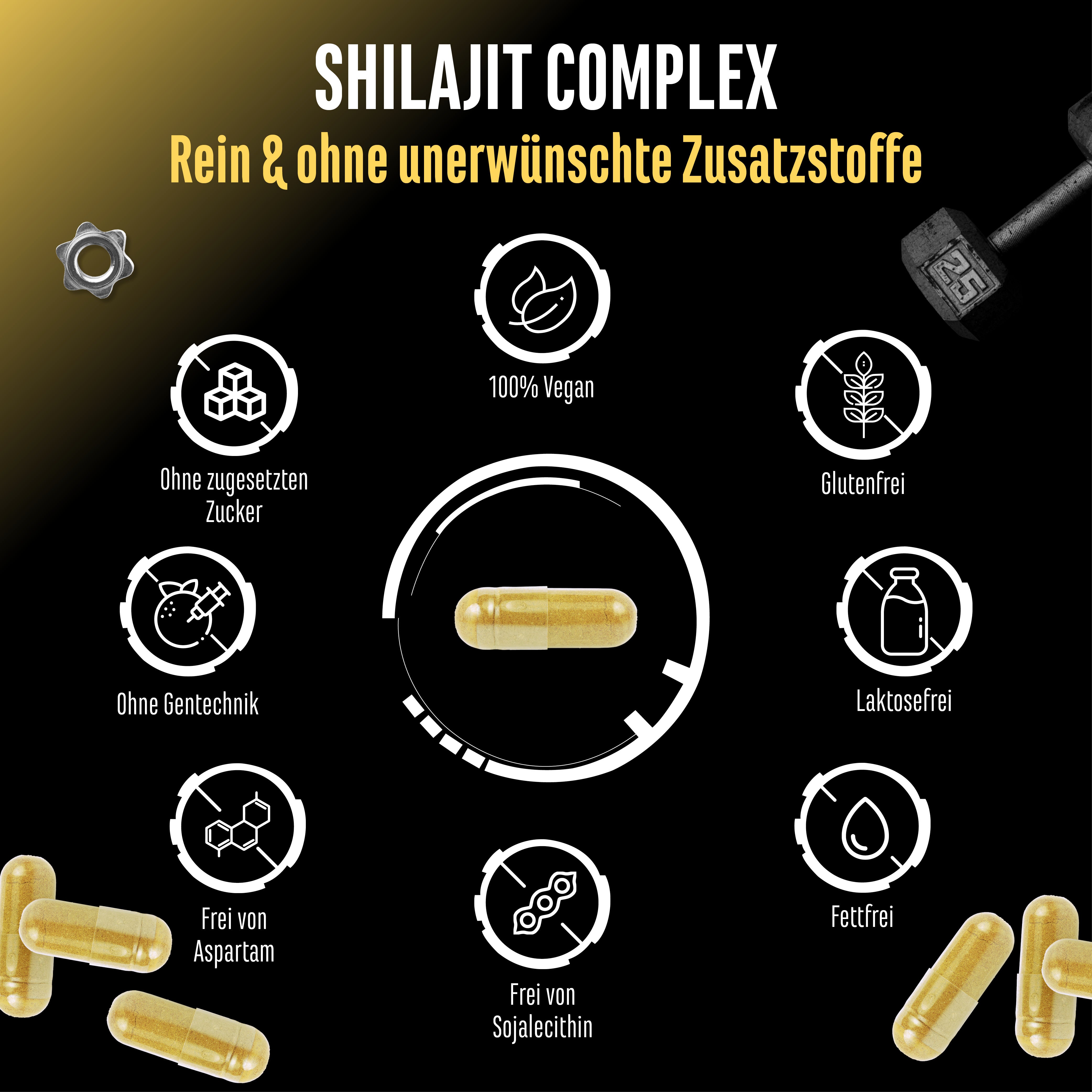 Shilajit Komplex