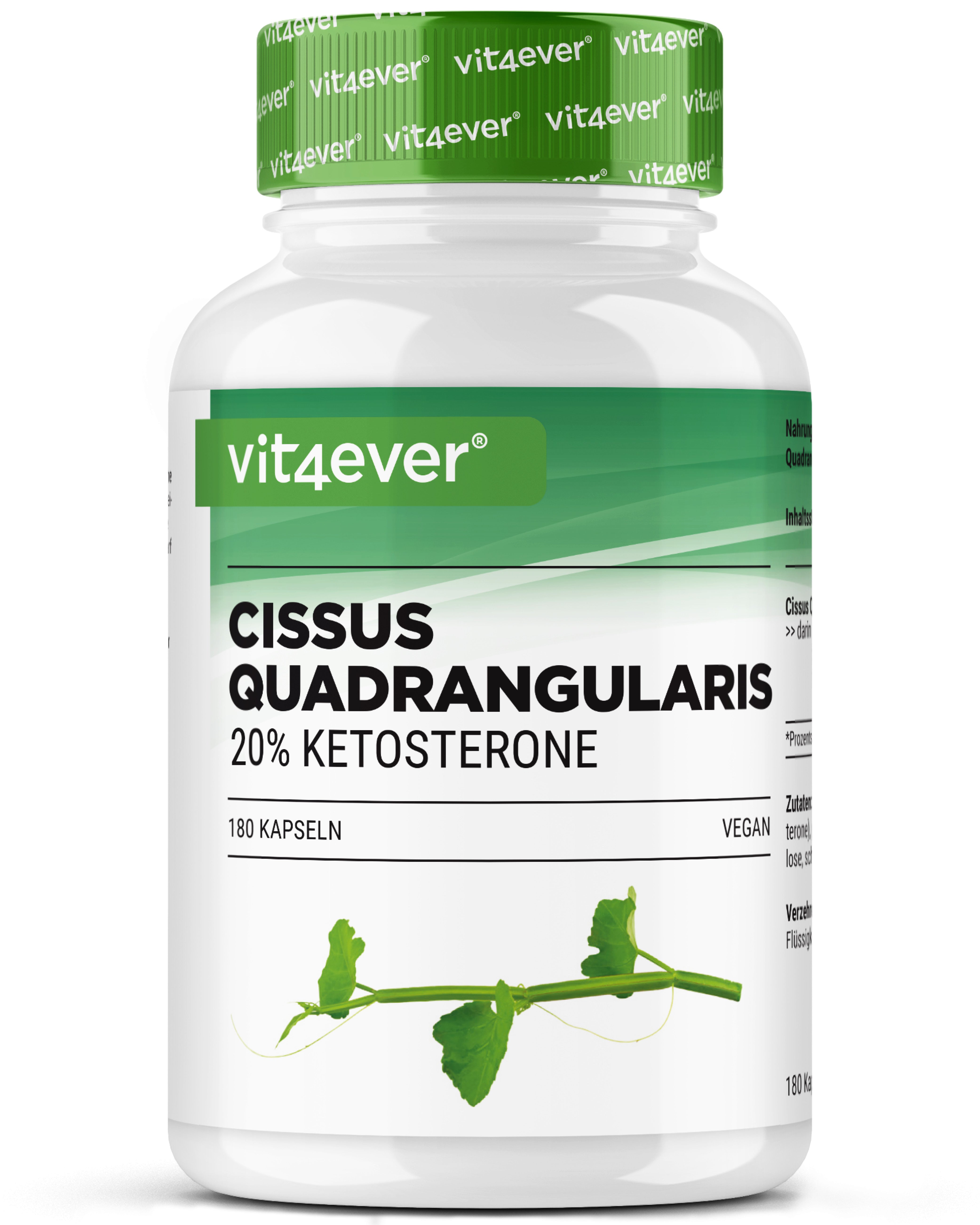 Cissus Quadrangularis - 725 mg Extract - 40% Ketosterones