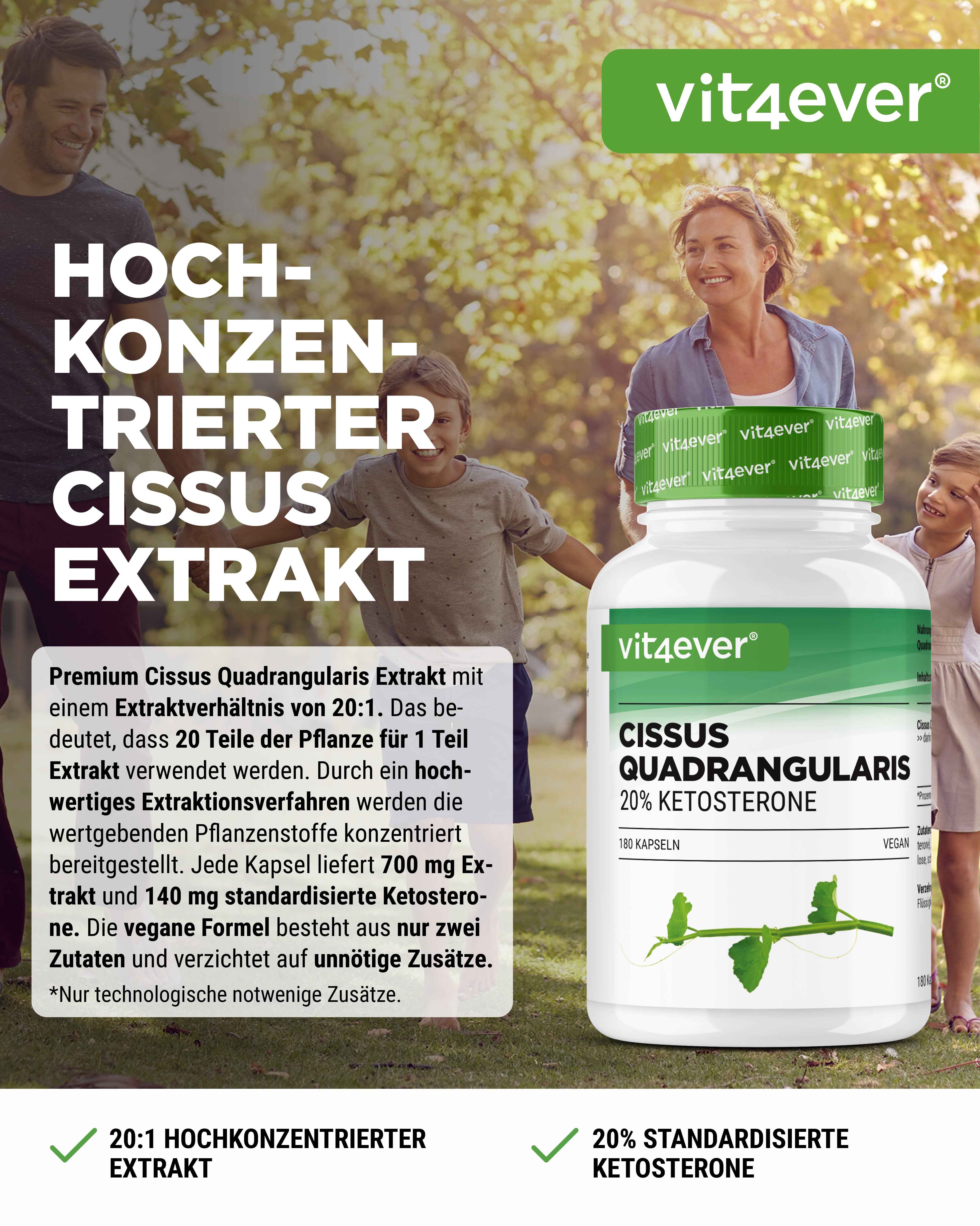 Cissus Quadrangularis - 725 mg Extract - 40% Ketosterones
