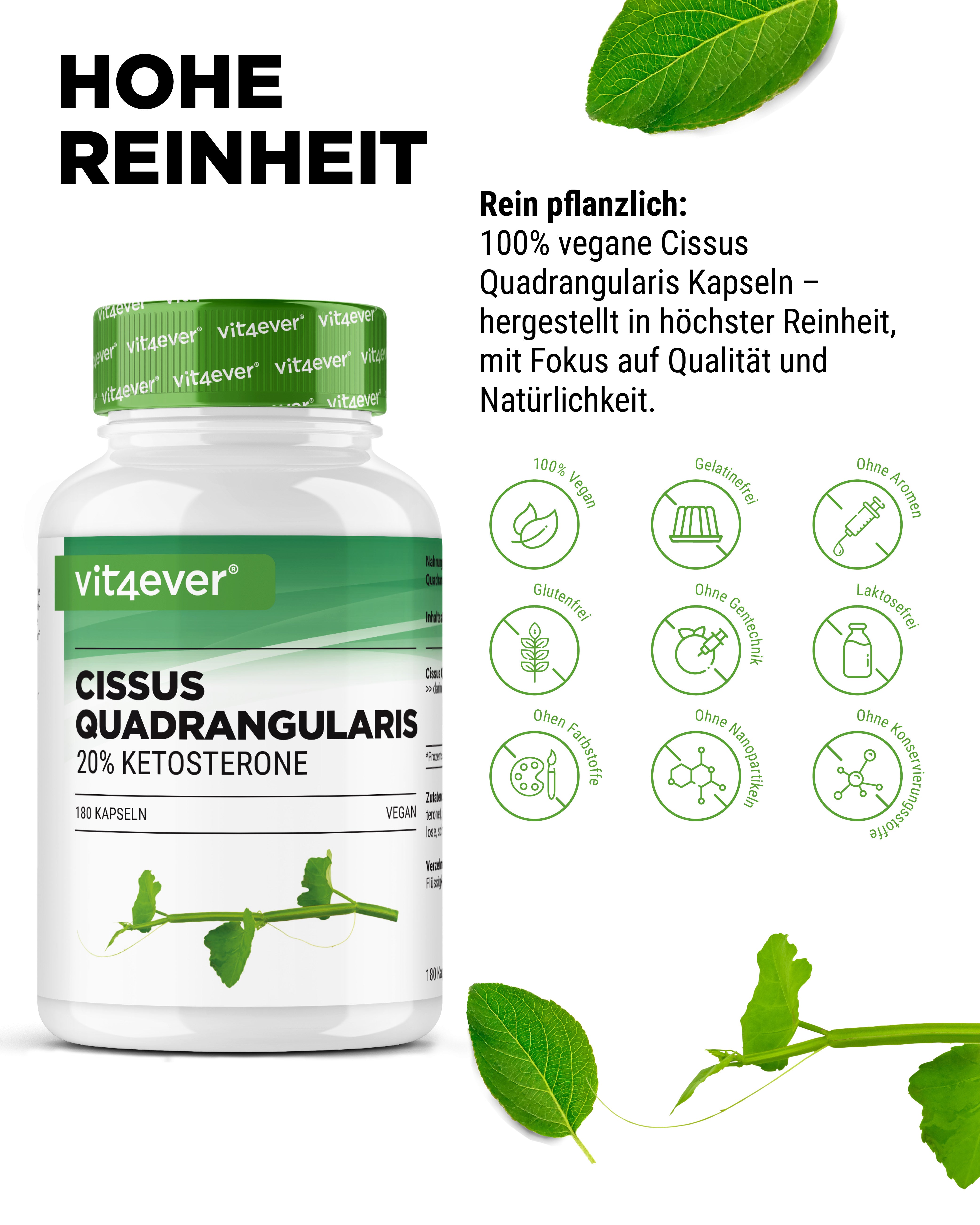 Cissus Quadrangularis - 725 mg Extract - 40% Ketosterones