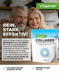 Kollagen Pulver