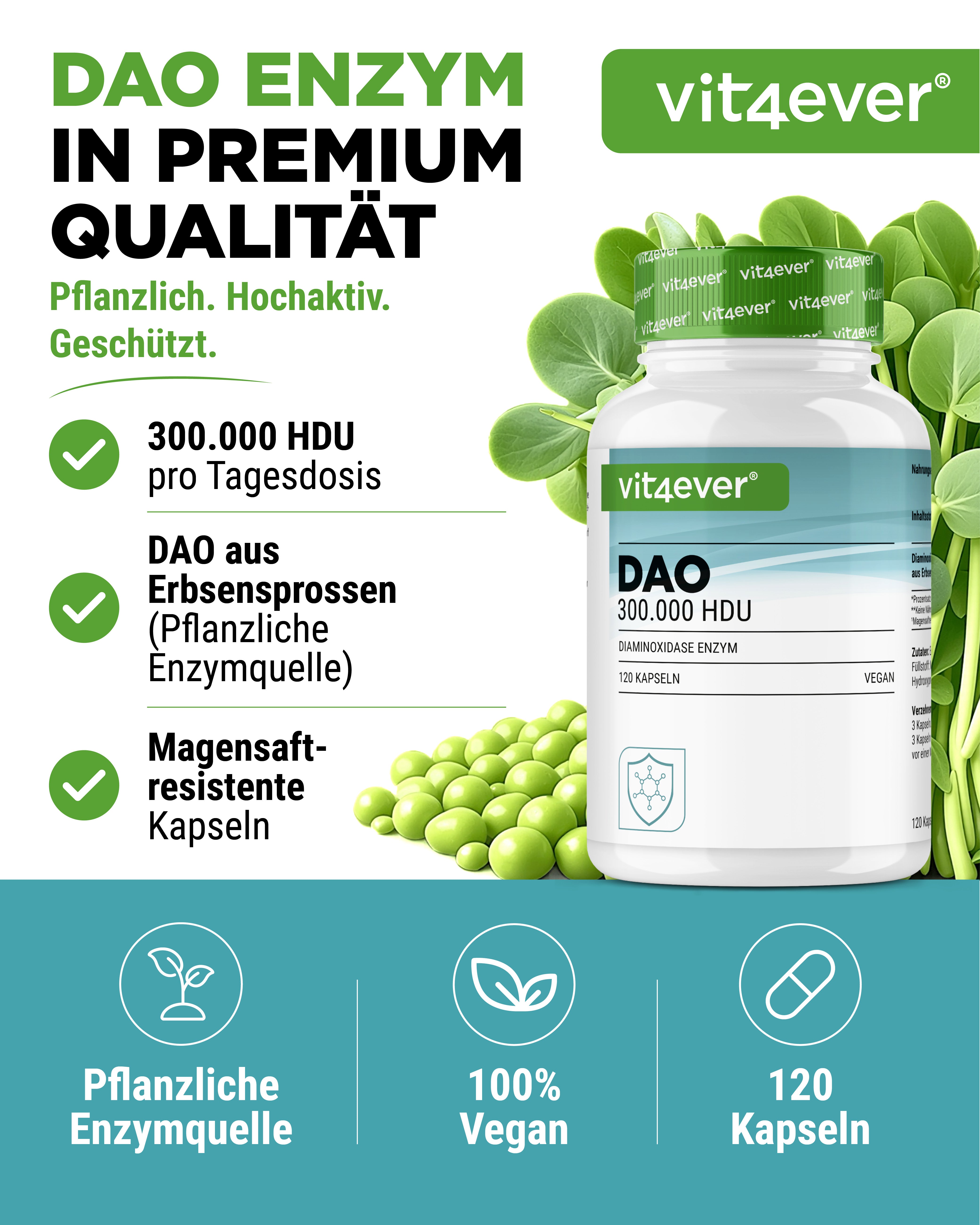 DAO Enzym - 300.000 HDU
