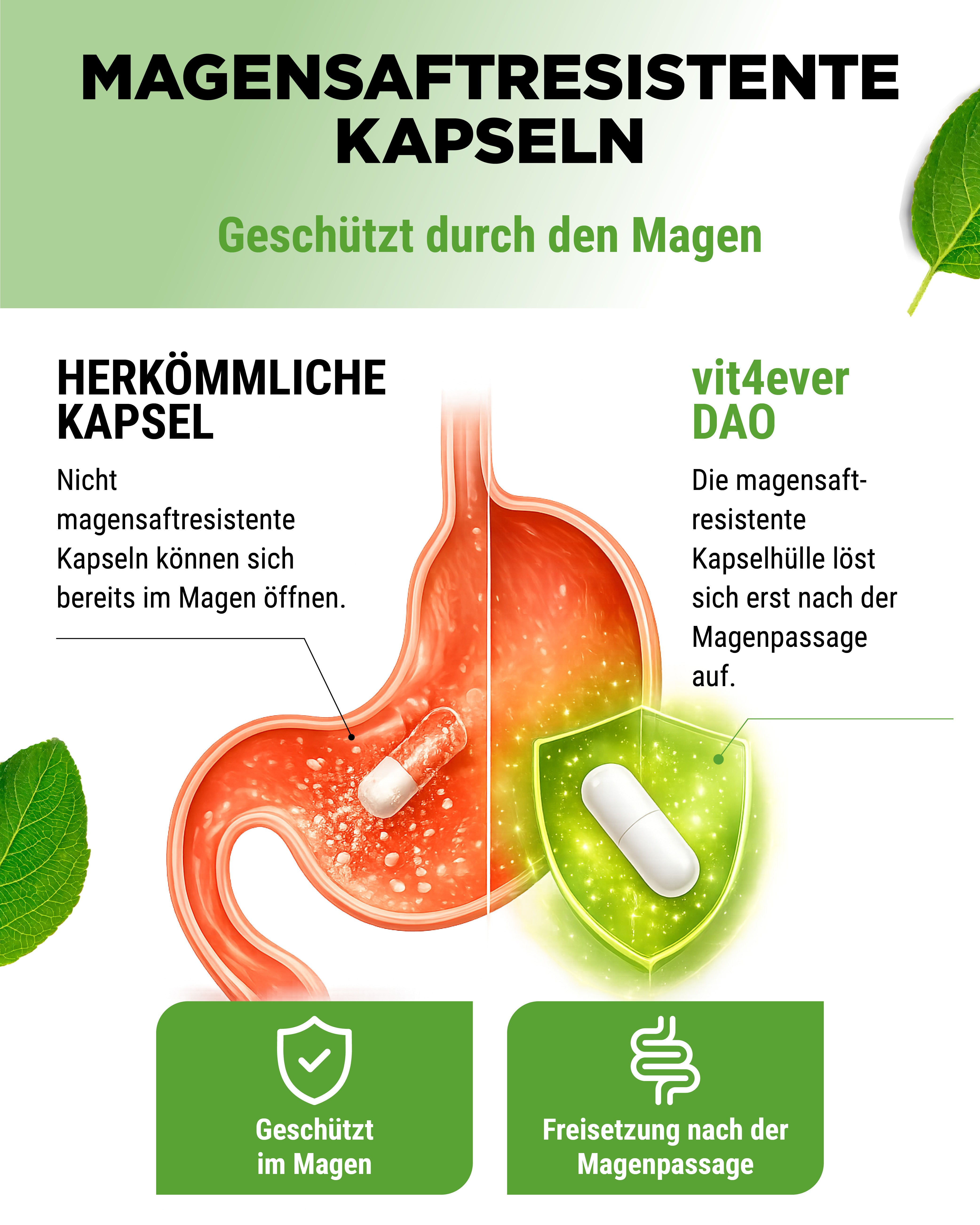 DAO Enzym - 300.000 HDU