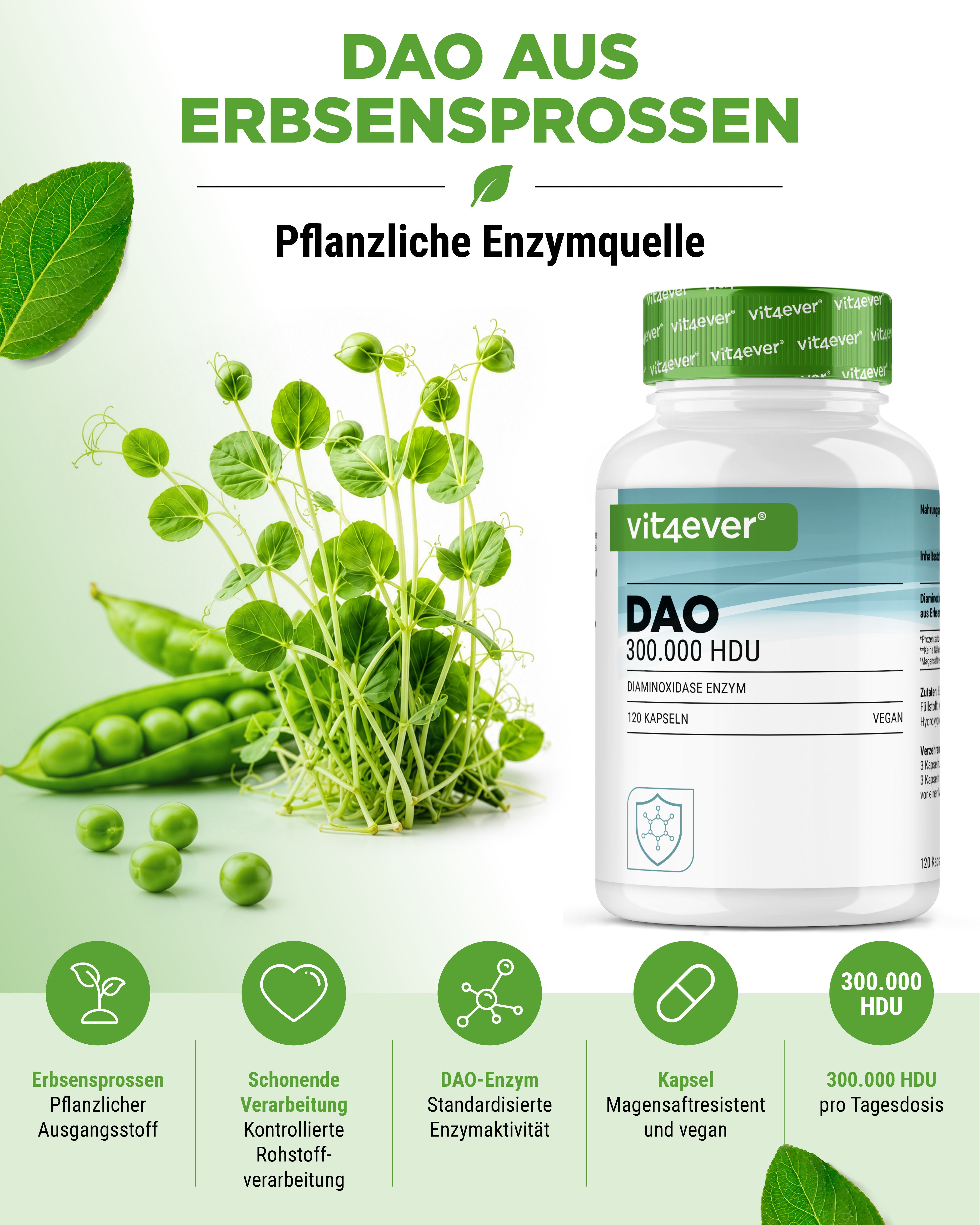 DAO Enzym - 300.000 HDU