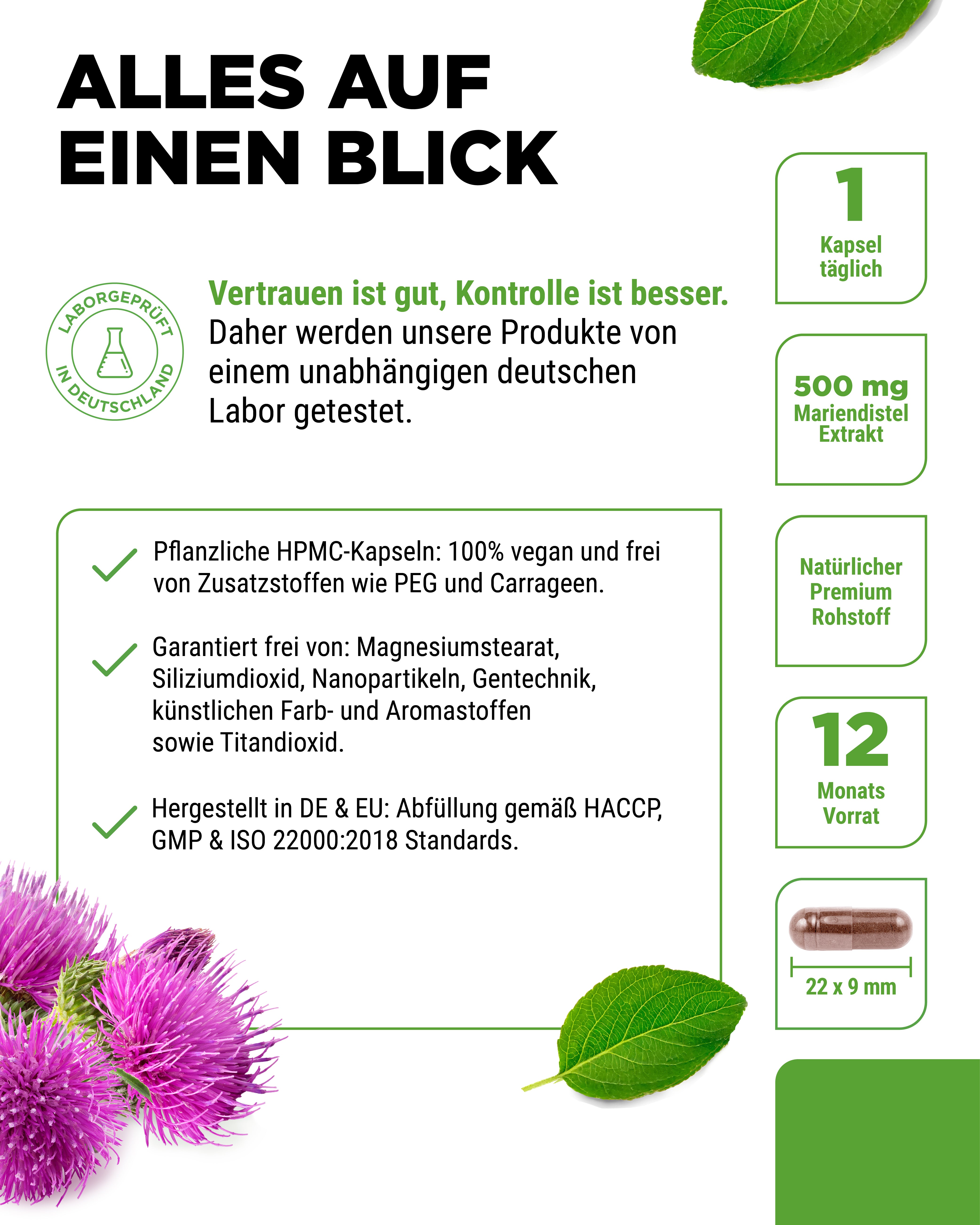 Mariendistel Extrakt 500 mg