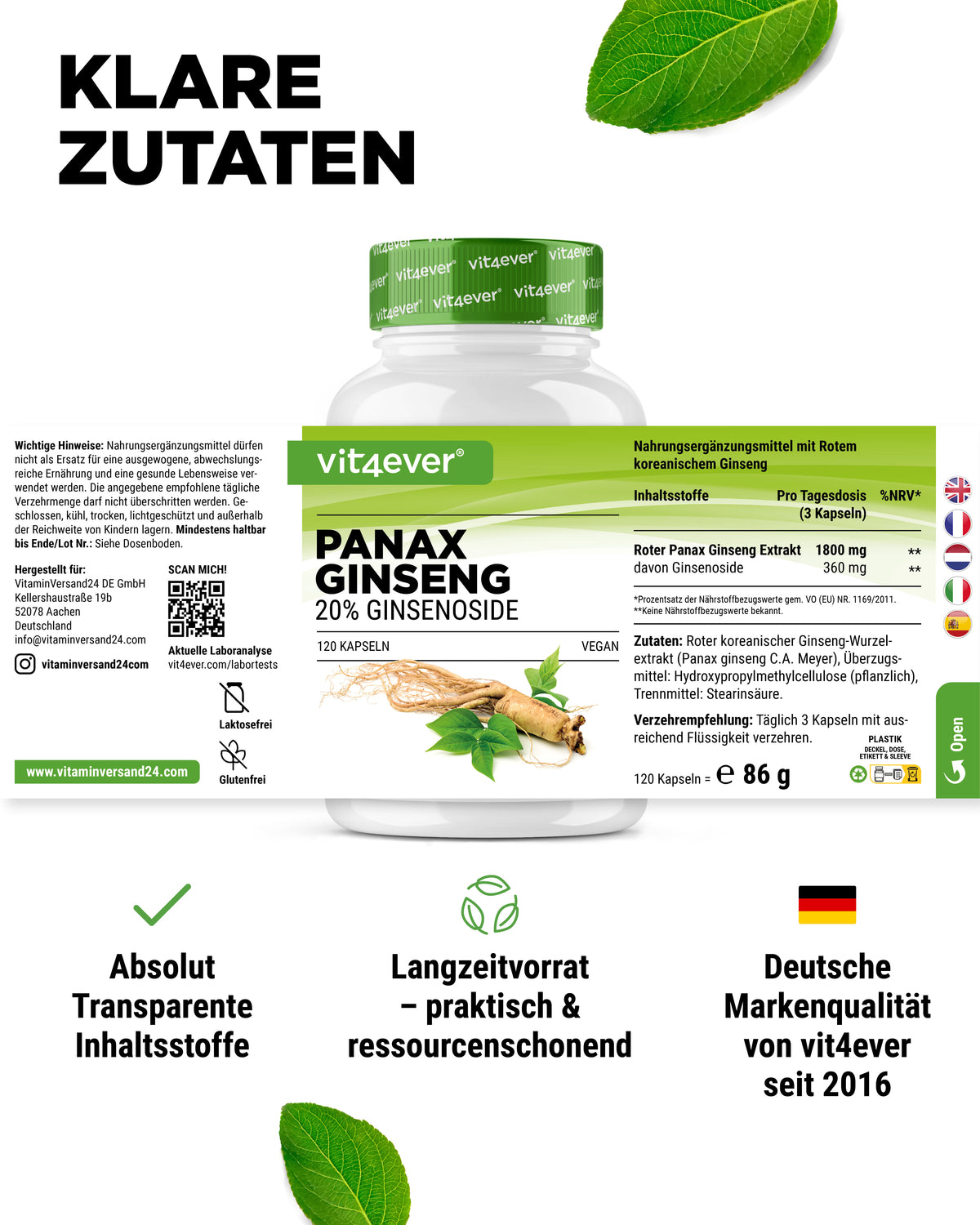 vit4ever Roter Panax Ginseng aus Korea – 20 % Ginsenoside, 120 Kapseln