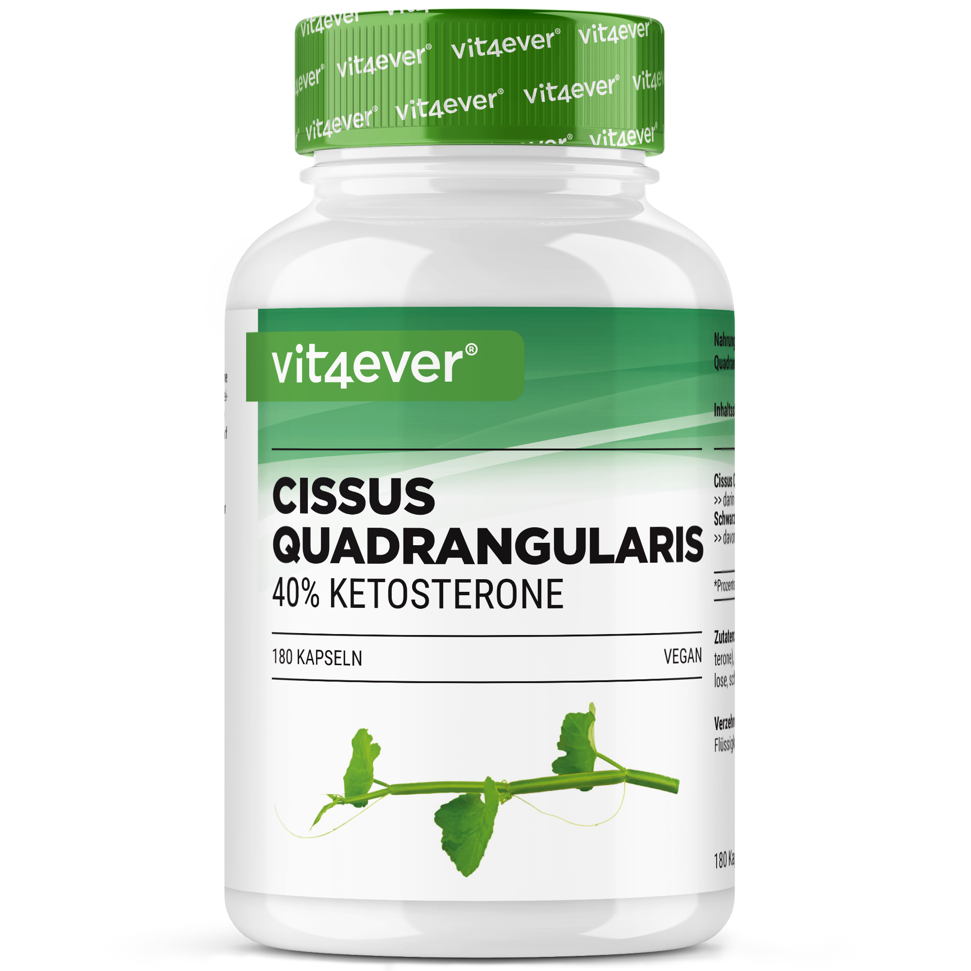 Cissus Quadrangularis - 725 mg Extrakt - 40% Ketosterone