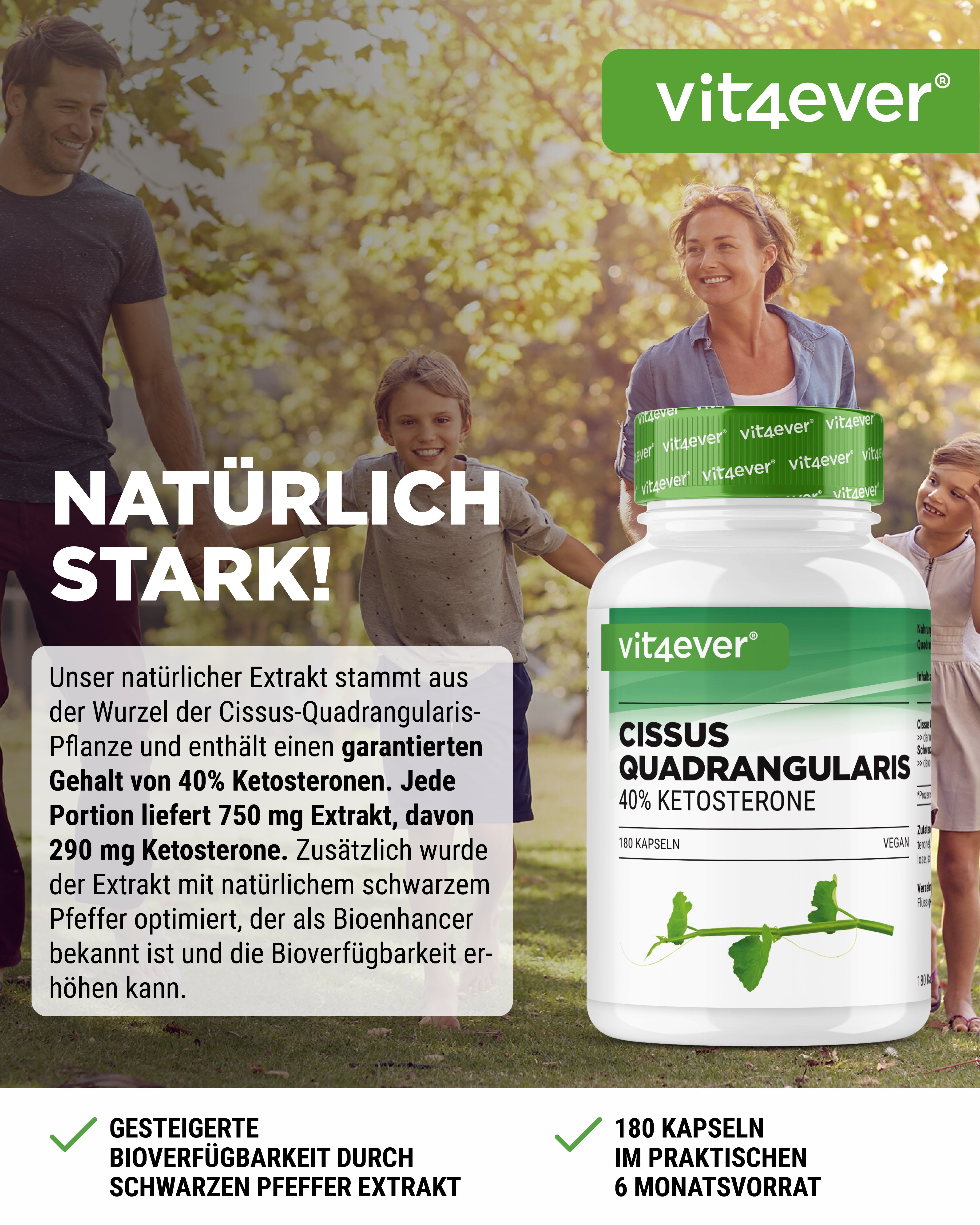 Cissus Quadrangularis - 725 mg Extrakt - 40% Ketosterone