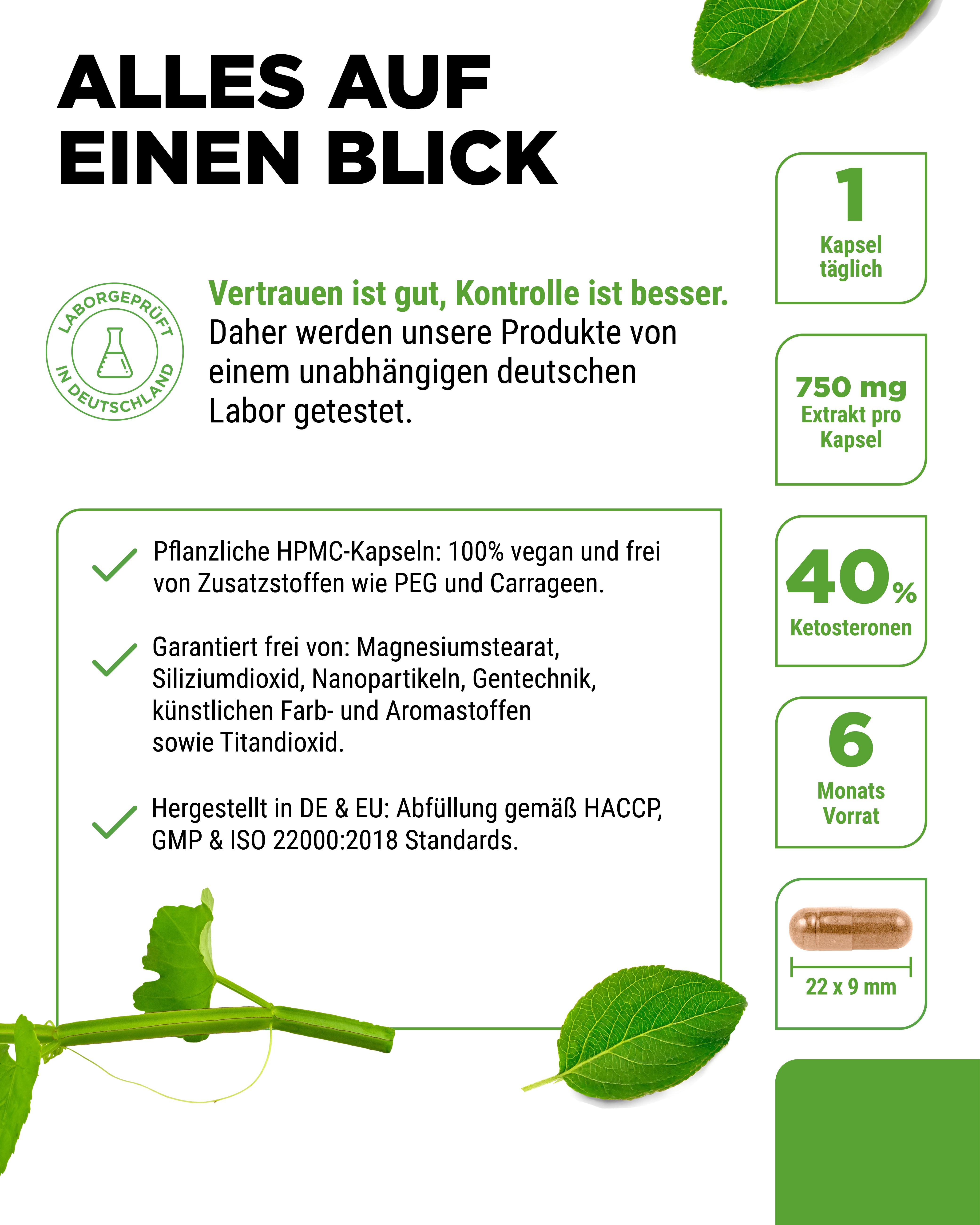 Cissus Quadrangularis - 725 mg Extrakt - 40% Ketosterone