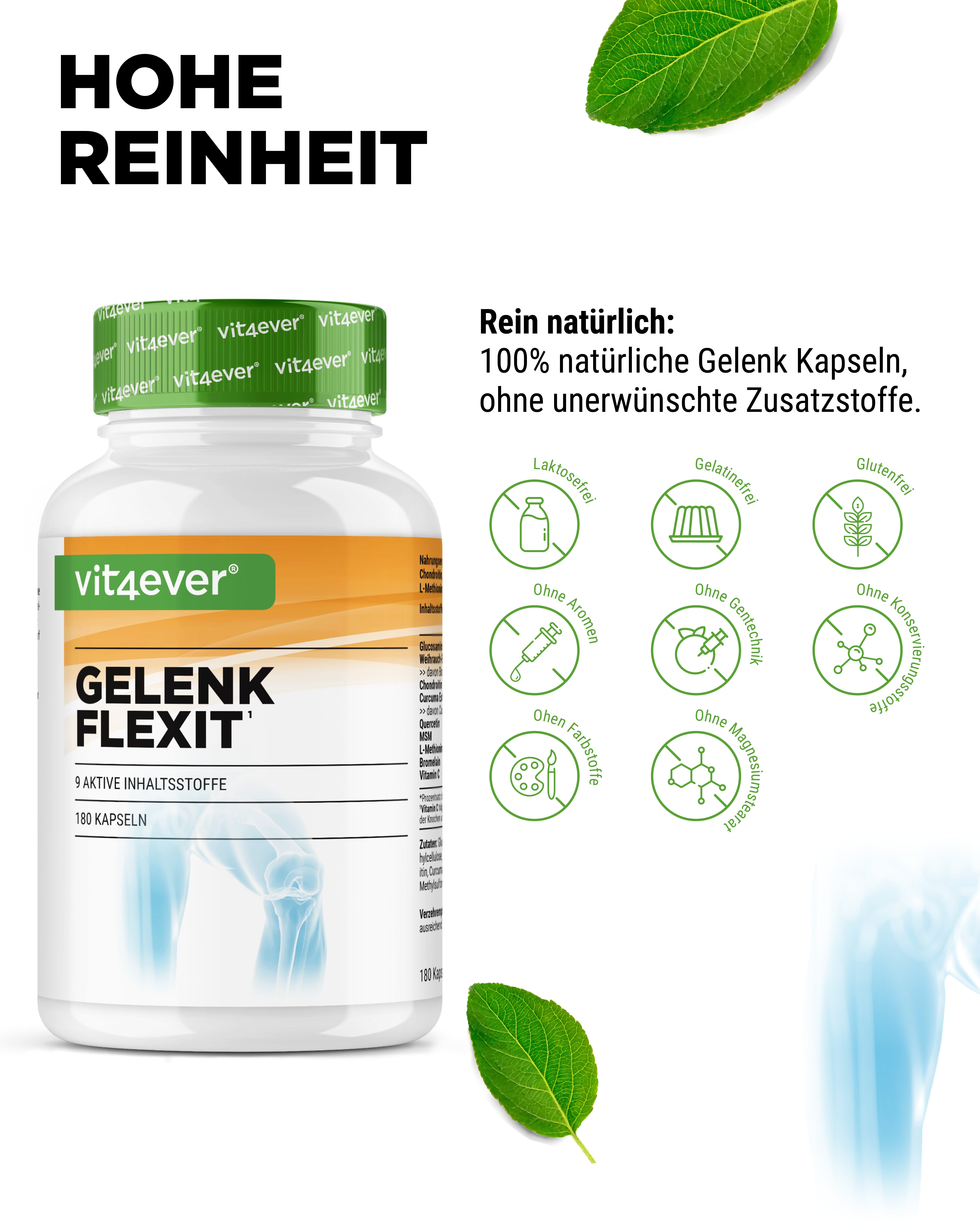 Gelenk Flexit - 9 Wirkstoffe