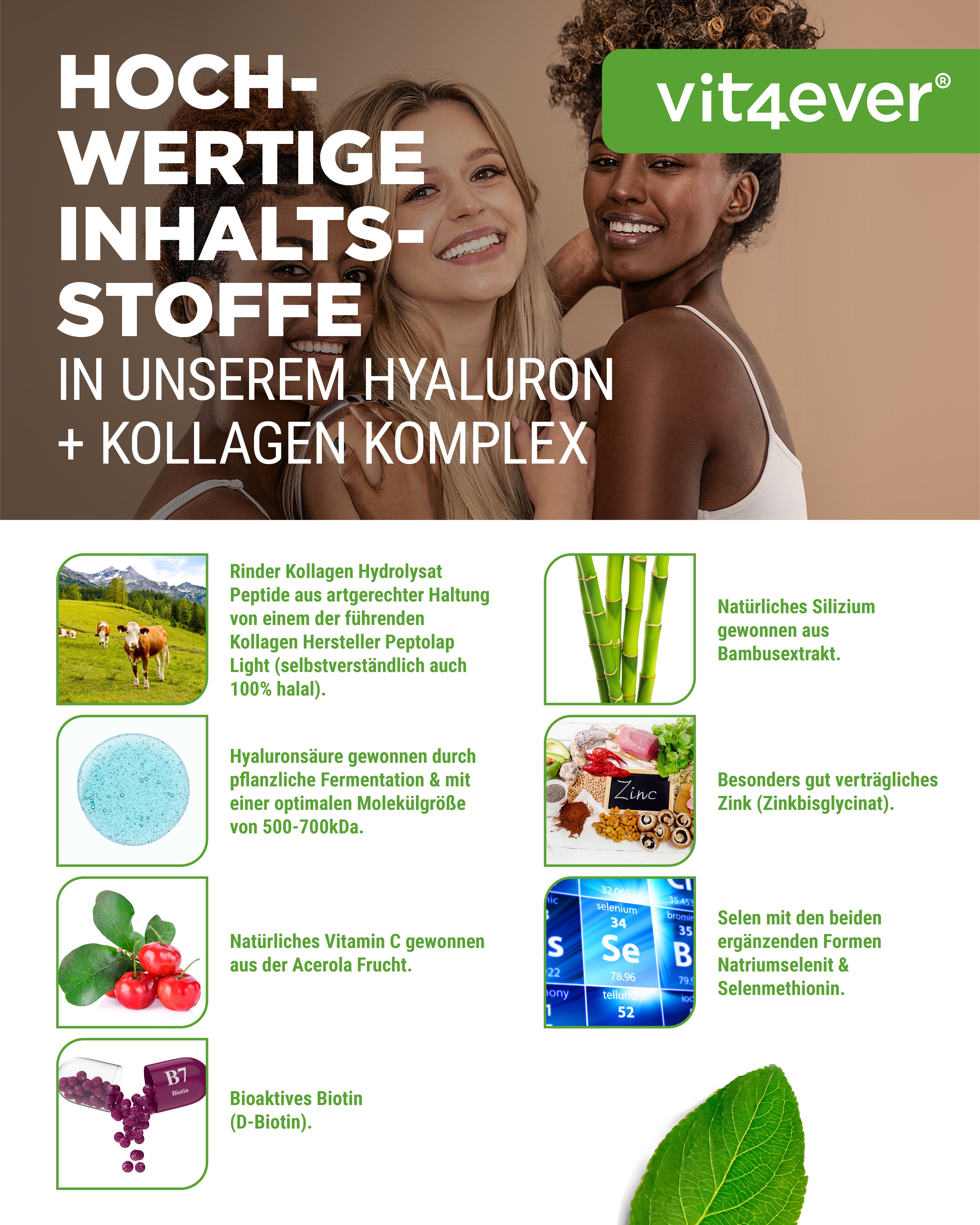 Hyaluronsäure Kollagen Komplex - 240 Kapseln