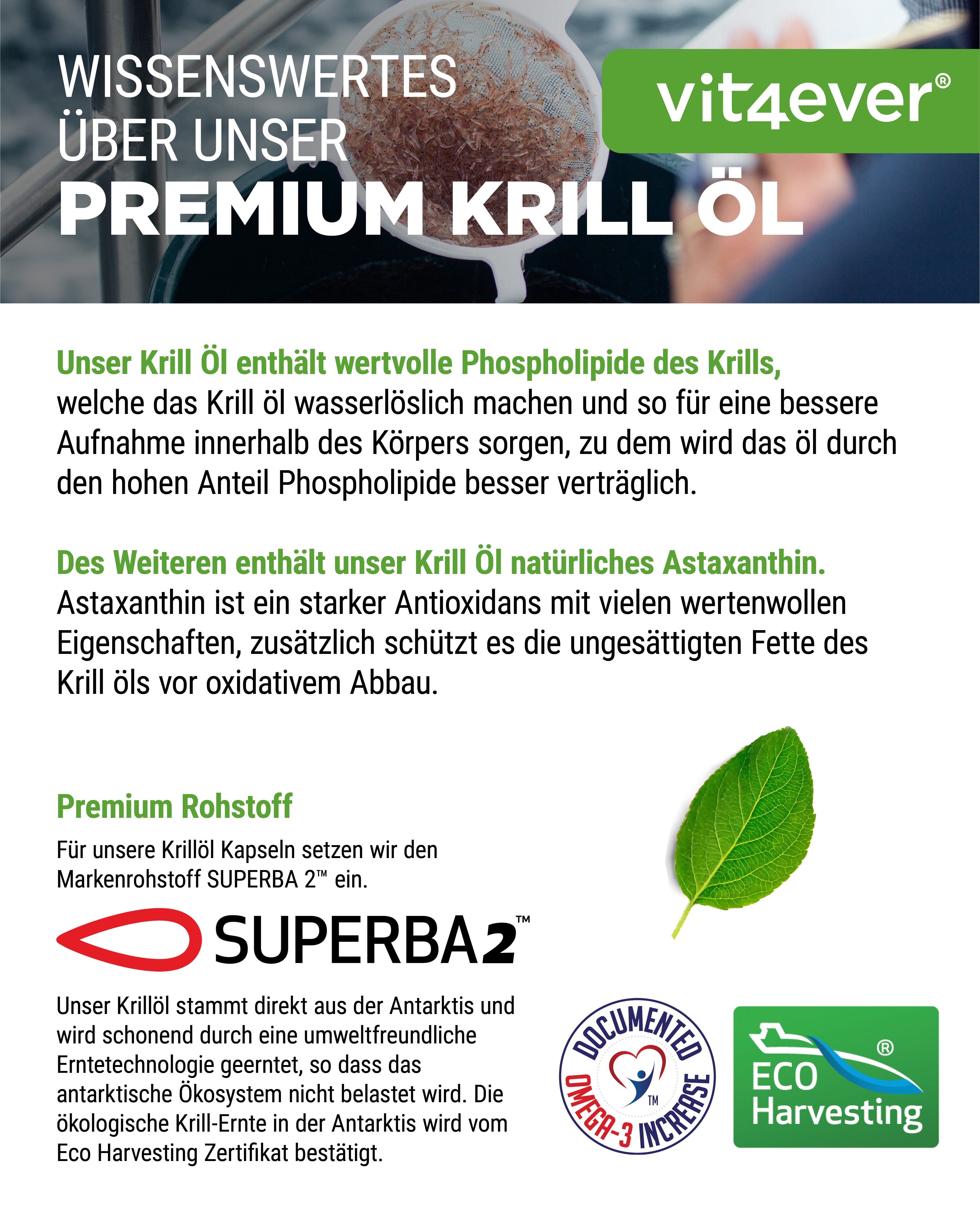 Krill Öl - SUPERBA2