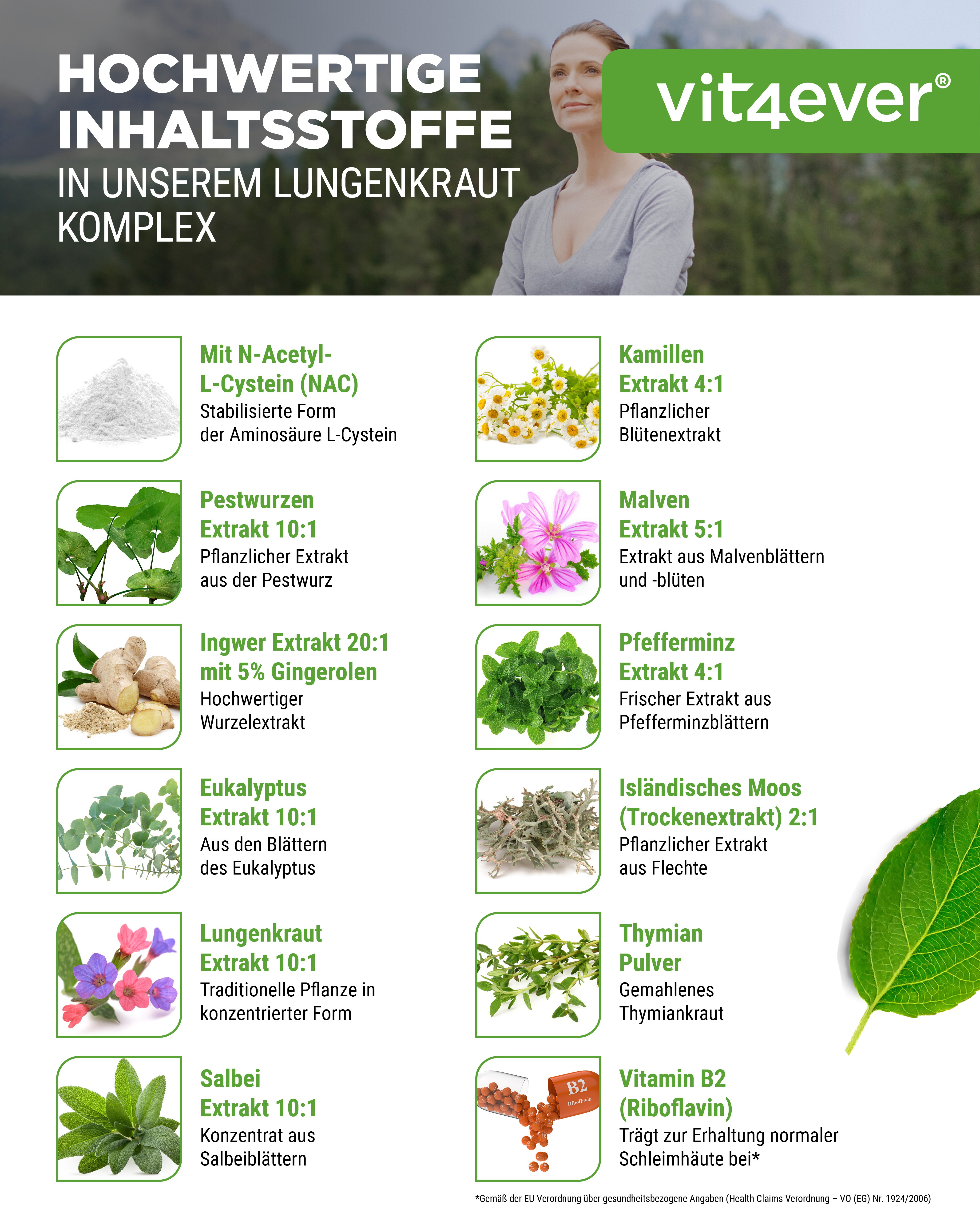 Lungen Komplex