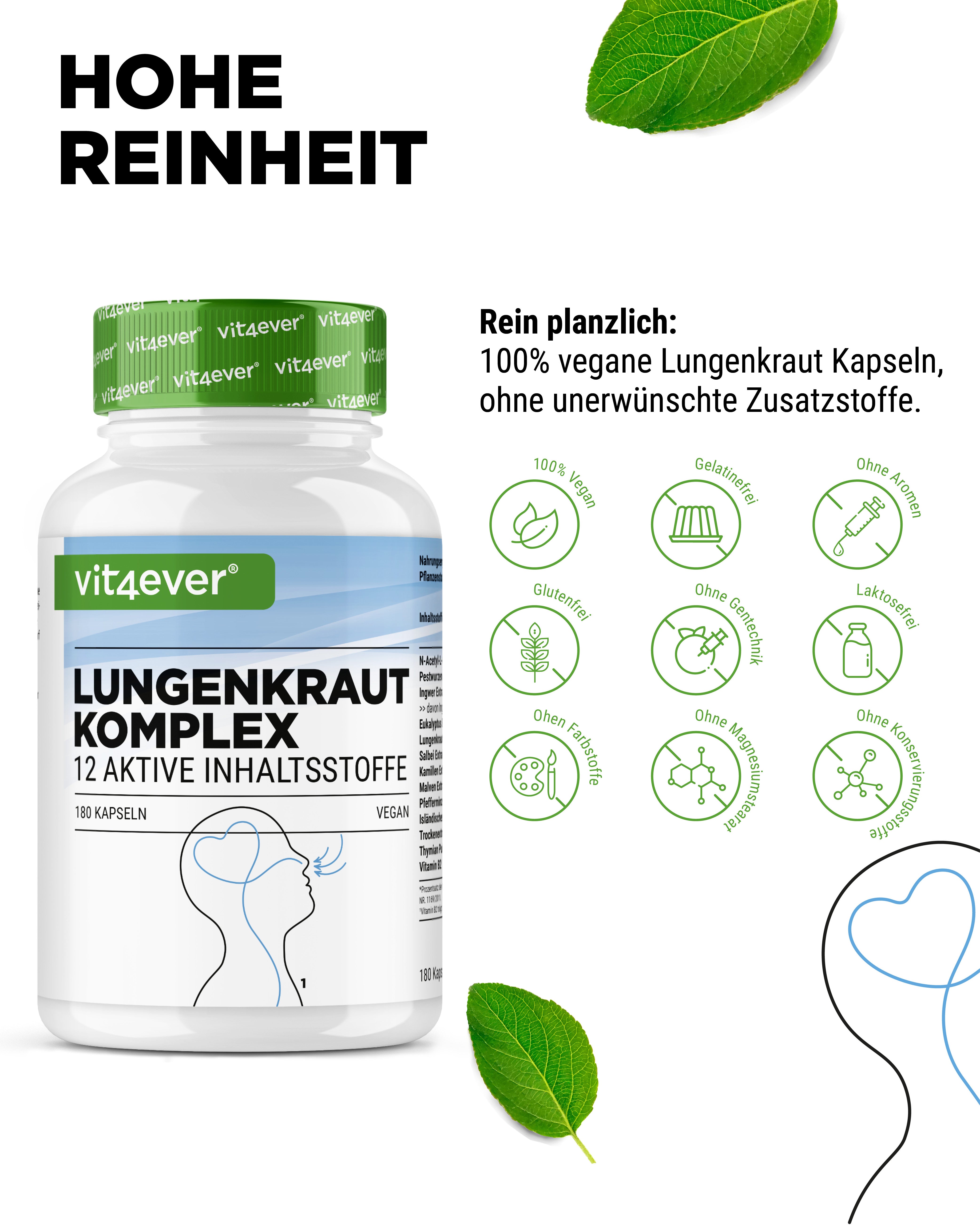 Lungen Komplex