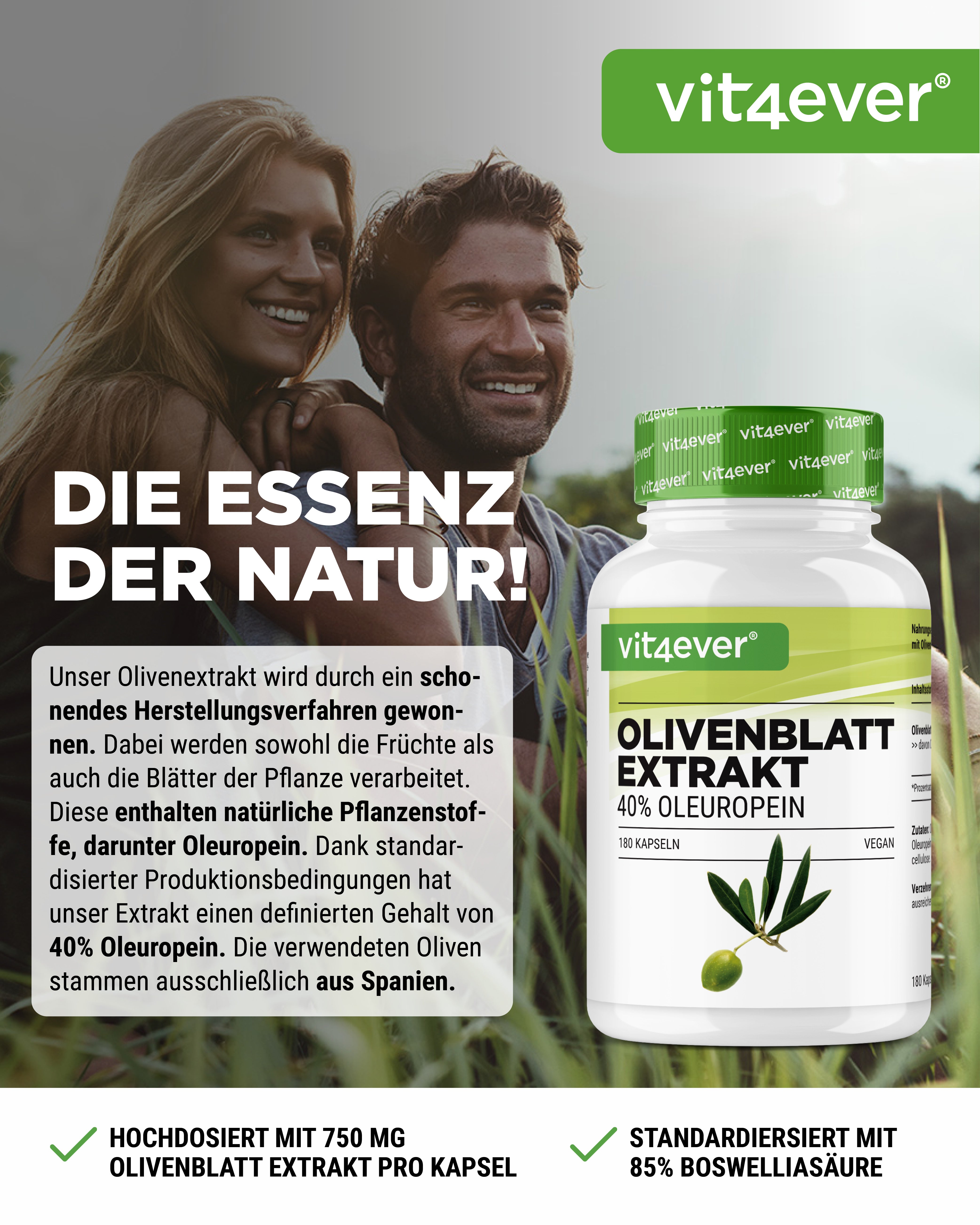 Olive Leaf Extract - 40% Oleuropein