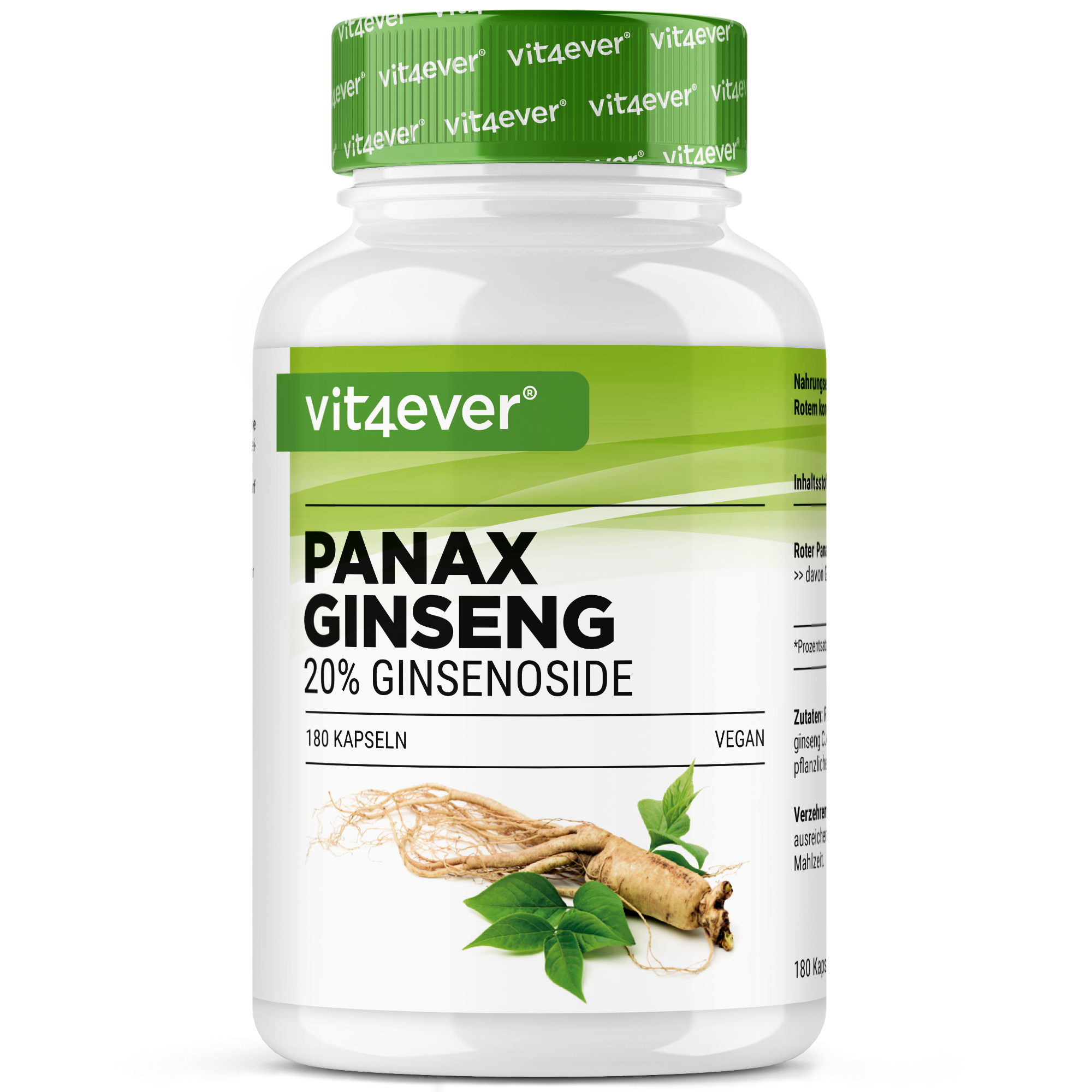Roter Panax Ginseng