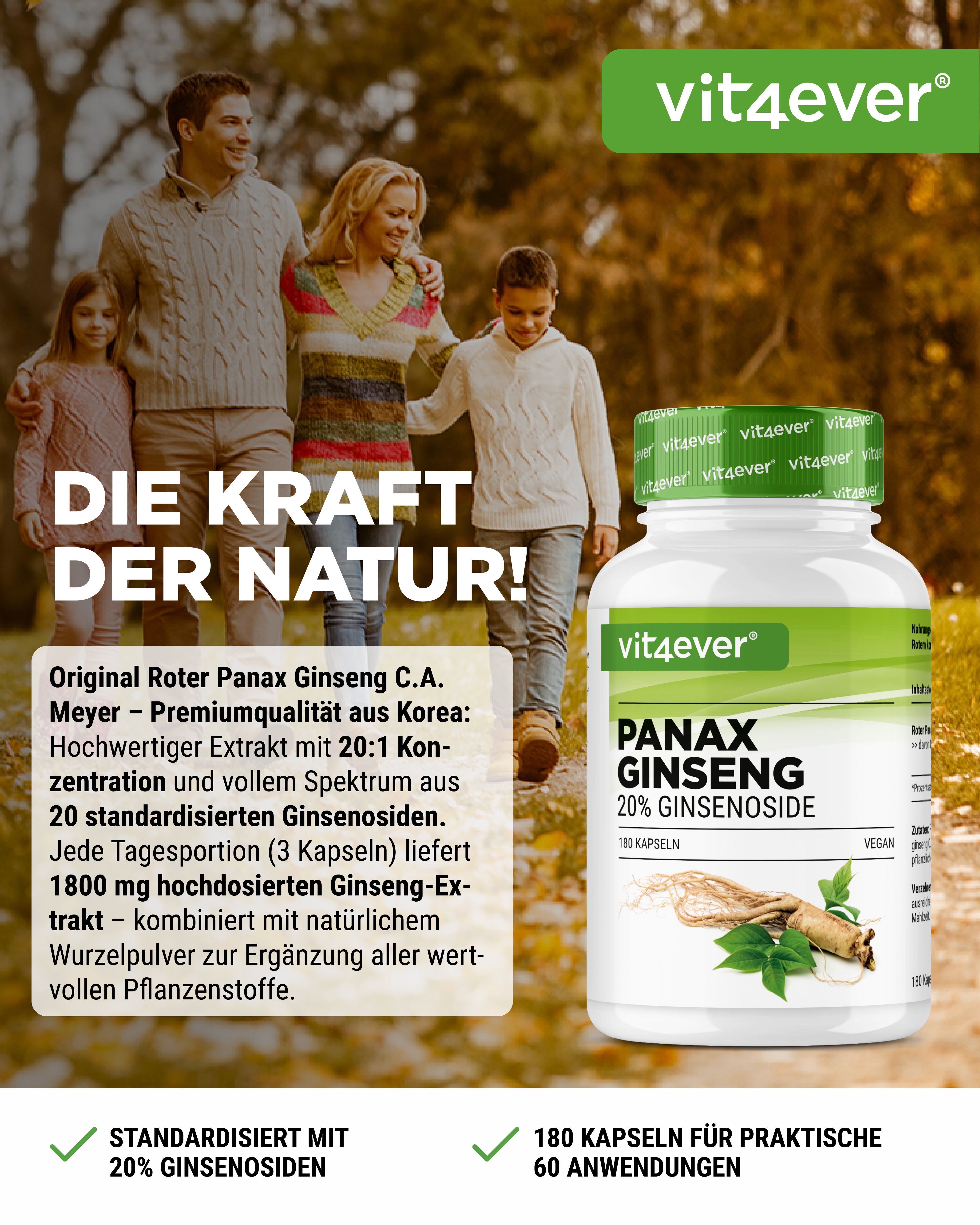 Roter Panax Ginseng