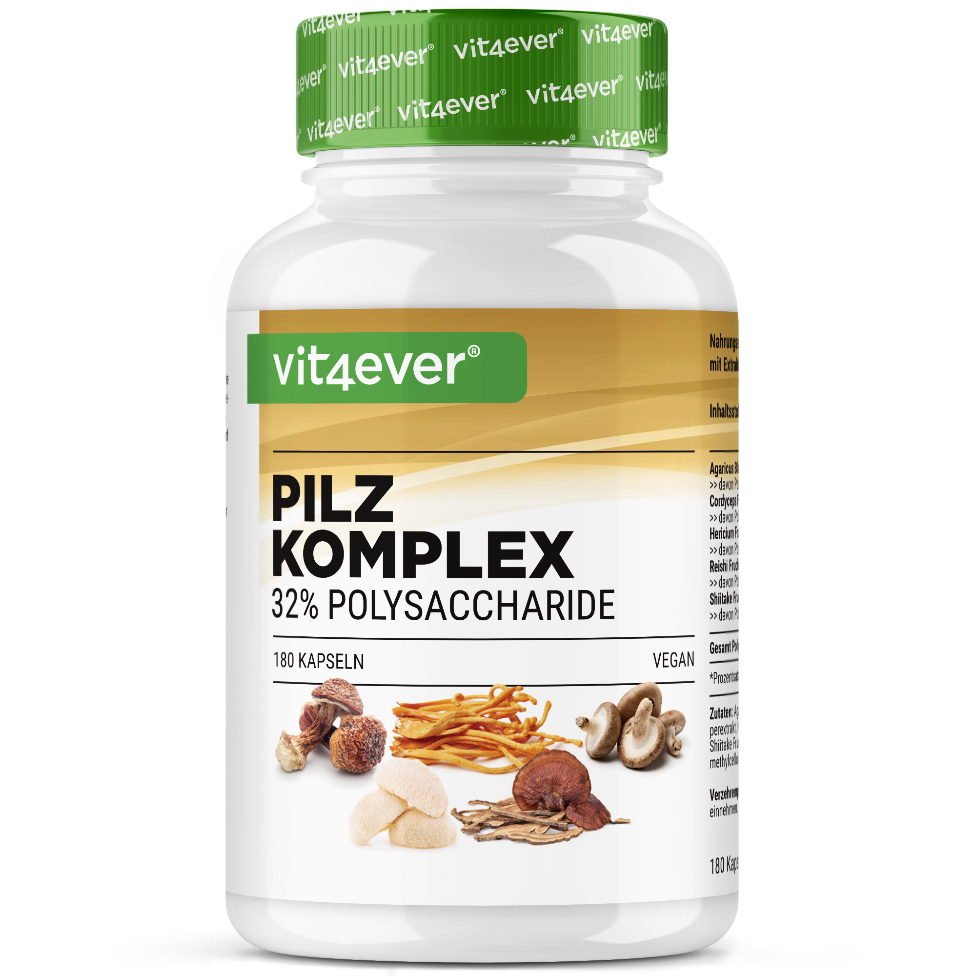 Pilz Komplex