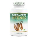 Cordyceps Intenso - 100% CS-4 Extrakt - 180 Kapseln